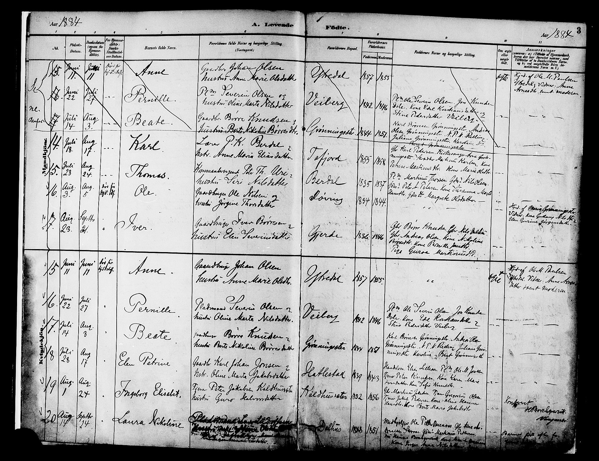 Ministerialprotokoller, klokkerbøker og fødselsregistre - Møre og Romsdal, AV/SAT-A-1454/519/L0255: Parish register (official) no. 519A14, 1884-1908, p. 3