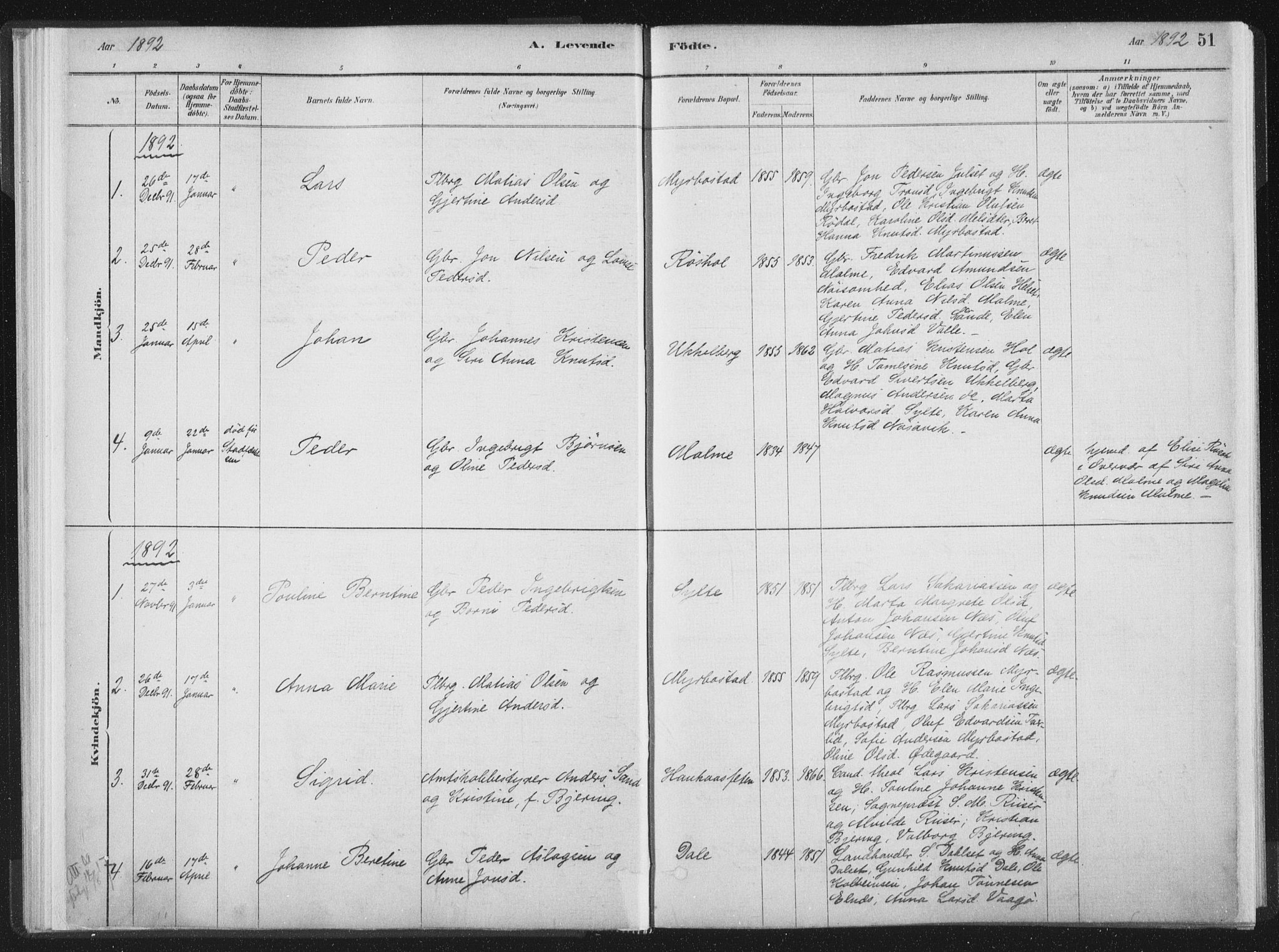 Ministerialprotokoller, klokkerbøker og fødselsregistre - Møre og Romsdal, AV/SAT-A-1454/564/L0740: Parish register (official) no. 564A01, 1880-1899, p. 51