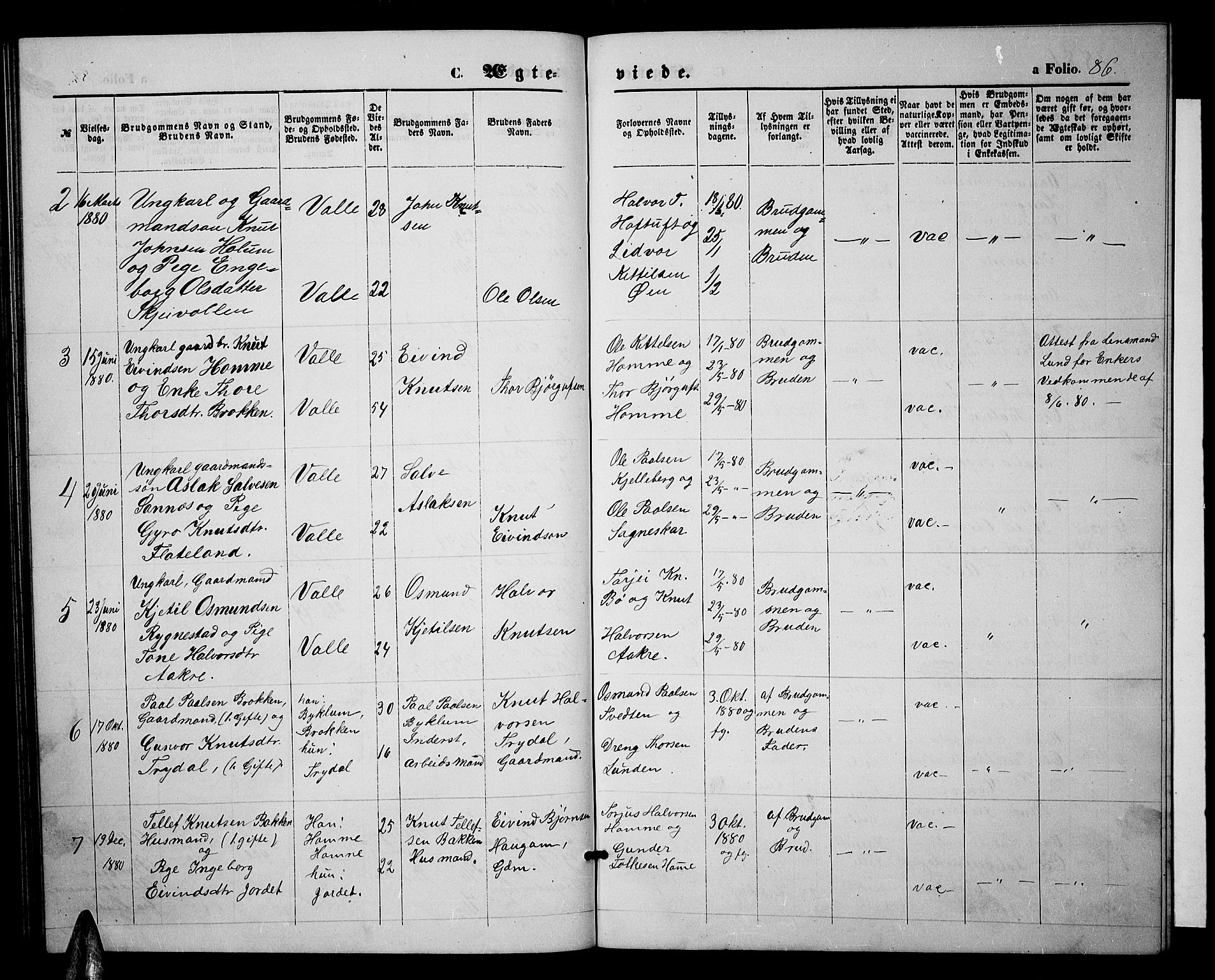 Valle sokneprestkontor, SAK/1111-0044/F/Fb/Fbc/L0003: Parish register (copy) no. B 3, 1871-1890, p. 86