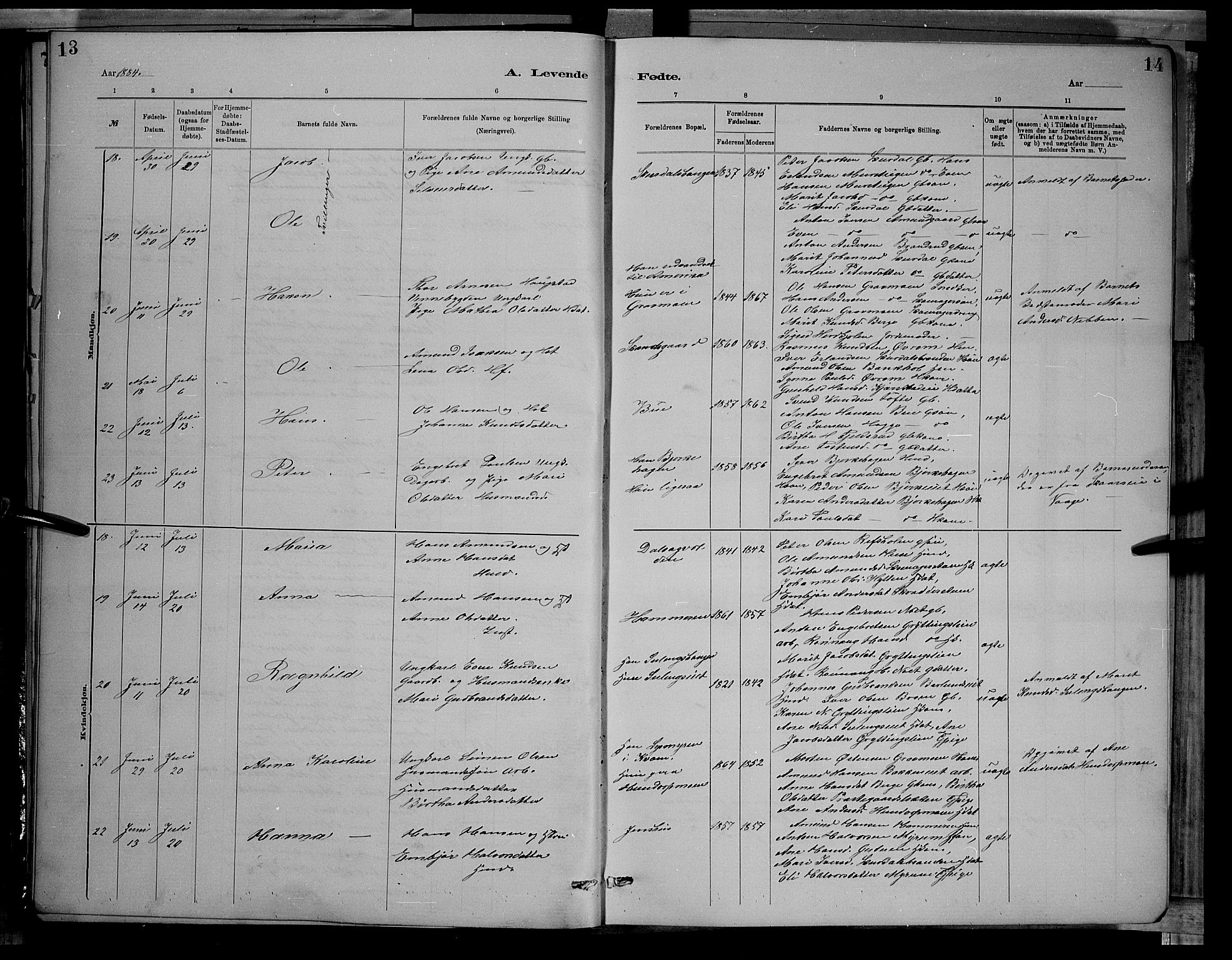 Sør-Fron prestekontor, AV/SAH-PREST-010/H/Ha/Hab/L0003: Parish register (copy) no. 3, 1884-1896, p. 13-14