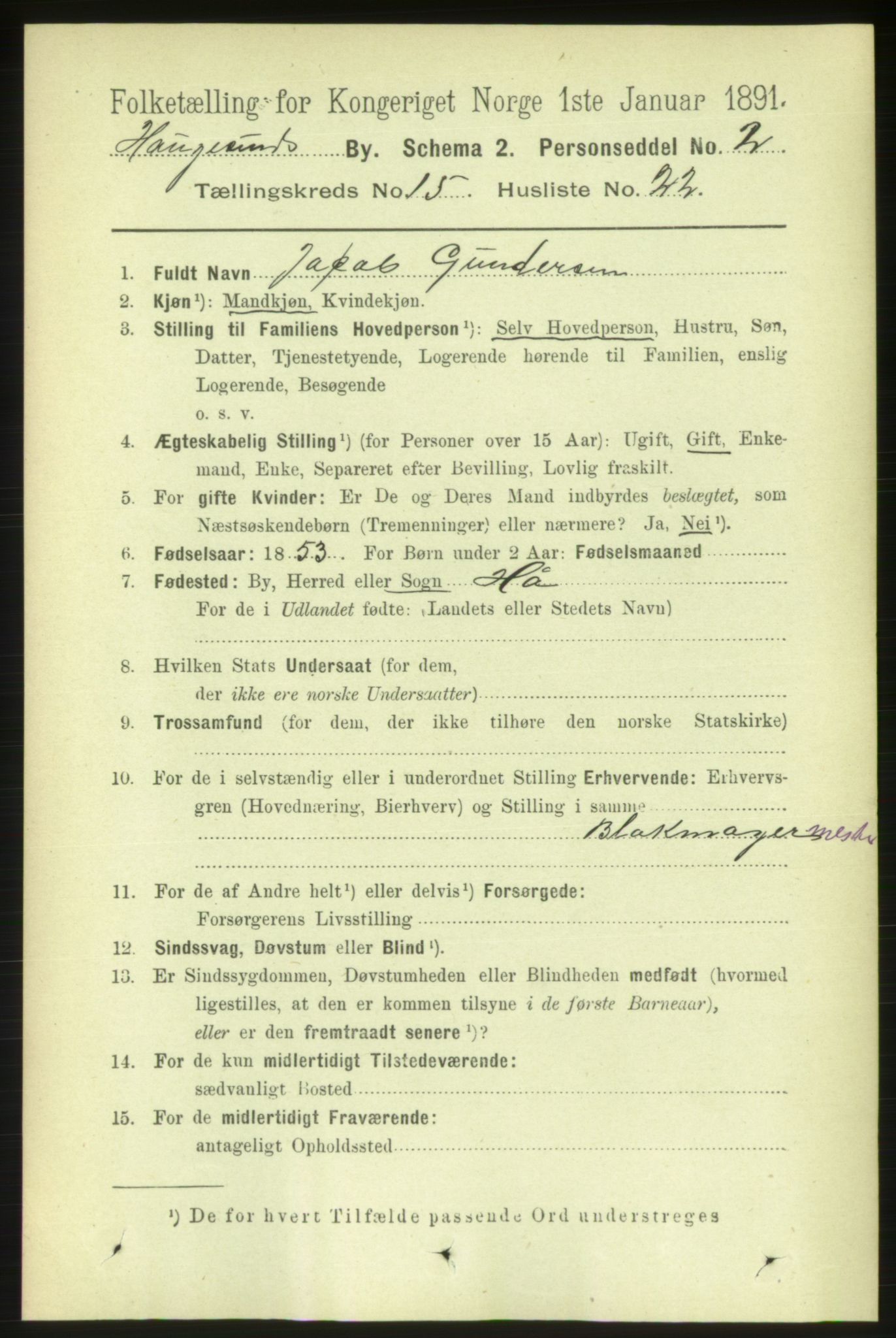 RA, 1891 census for 1106 Haugesund, 1891, p. 5139