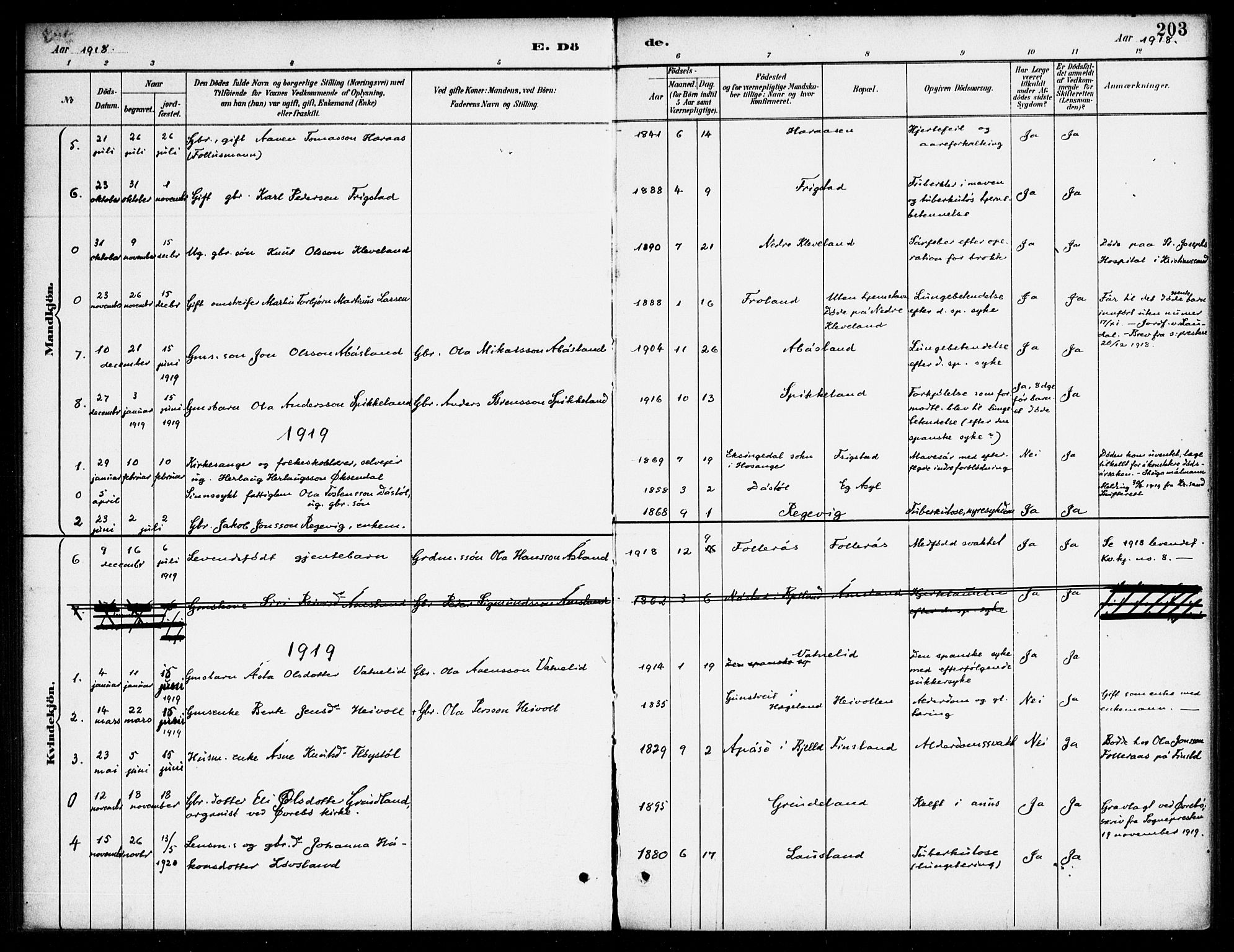 Bjelland sokneprestkontor, AV/SAK-1111-0005/F/Fa/Fab/L0004: Parish register (official) no. A 4, 1887-1920, p. 203