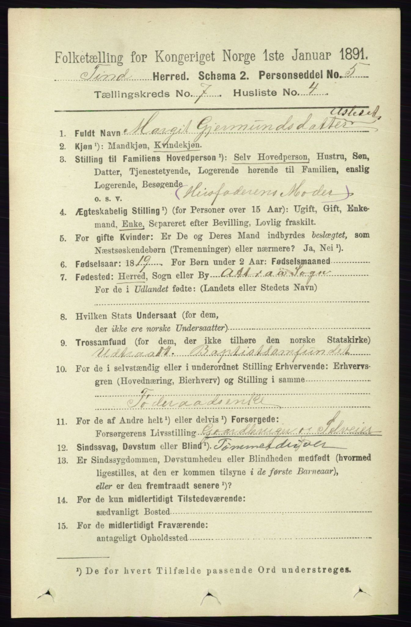 RA, 1891 census for 0826 Tinn, 1891, p. 1455