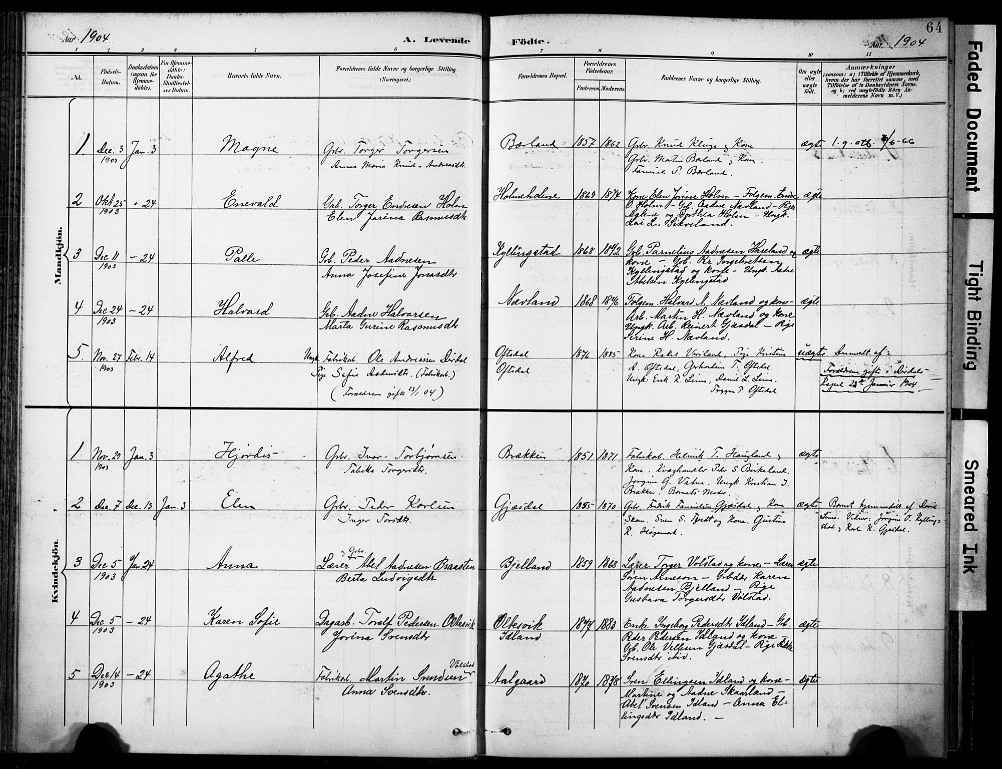 Lye sokneprestkontor, AV/SAST-A-101794/001/30BA/L0012: Parish register (official) no. A 11, 1896-1909, p. 64