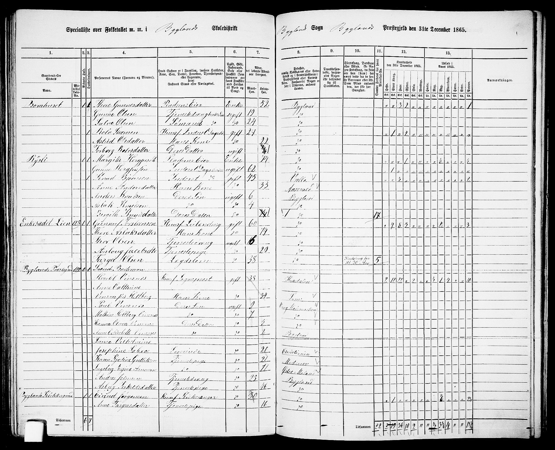 RA, 1865 census for Bygland, 1865, p. 60