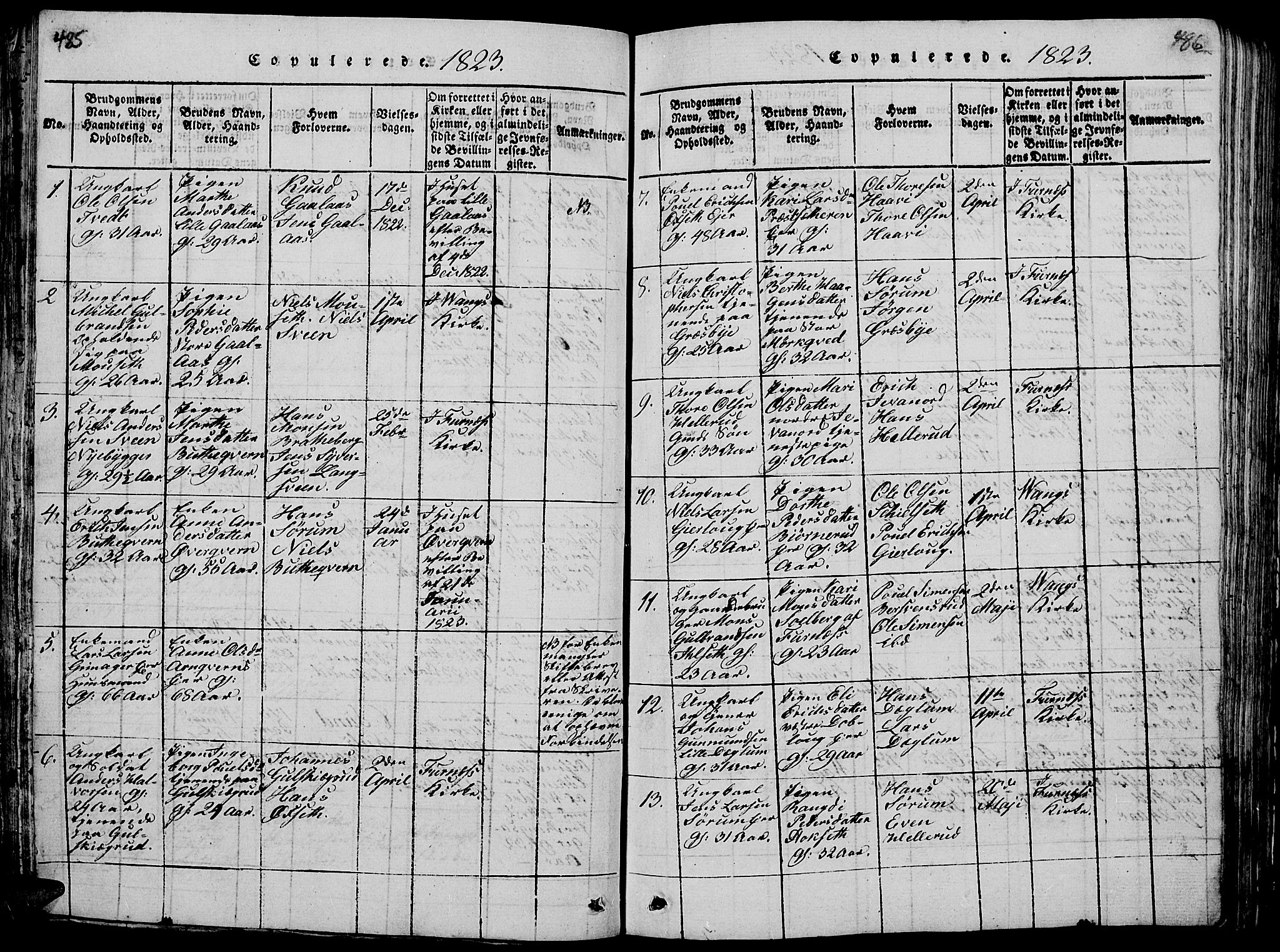 Vang prestekontor, Hedmark, AV/SAH-PREST-008/H/Ha/Hab/L0005: Parish register (copy) no. 5, 1815-1836, p. 485-486