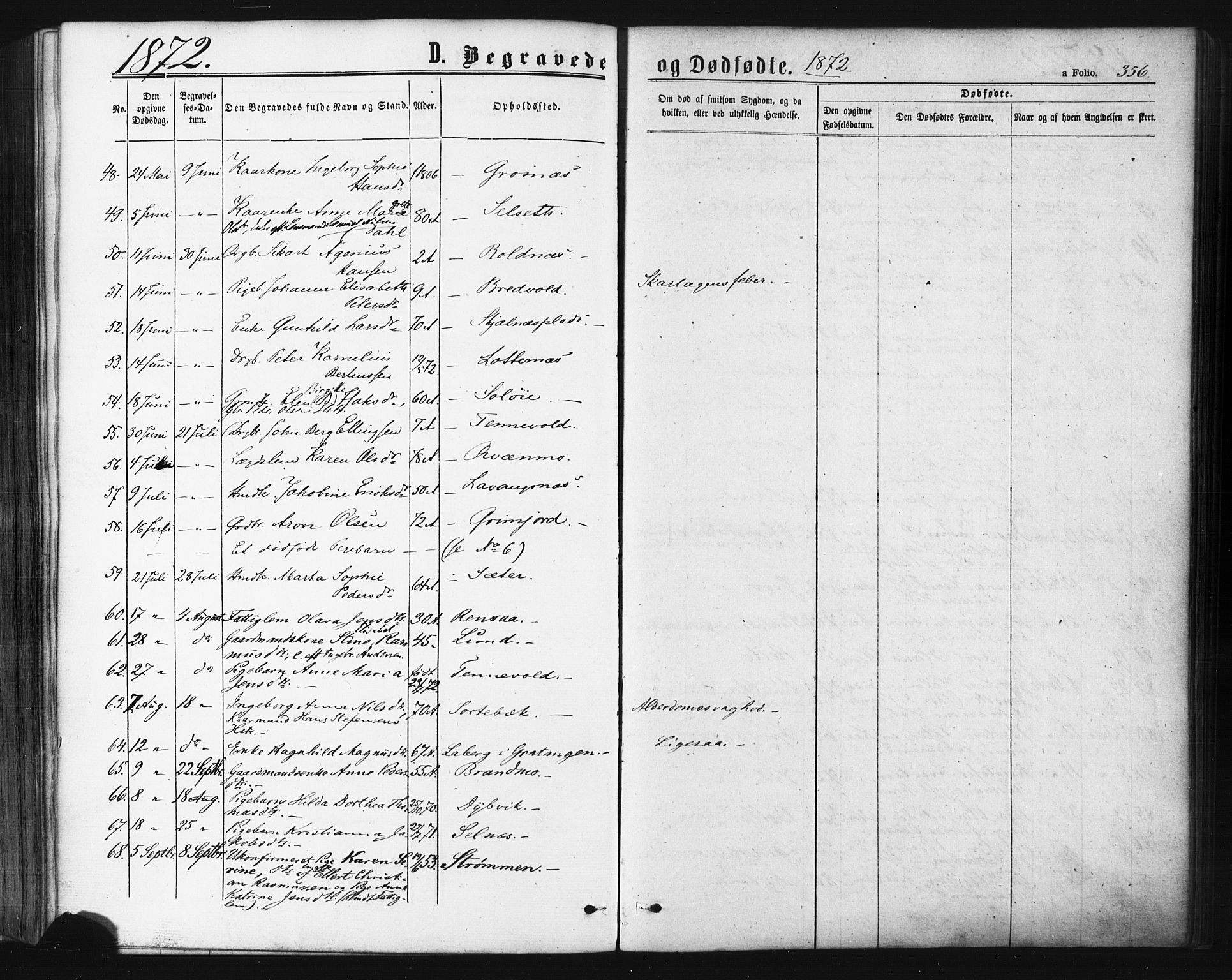 Ibestad sokneprestembete, AV/SATØ-S-0077/H/Ha/Haa/L0010kirke: Parish register (official) no. 10, 1869-1879, p. 356