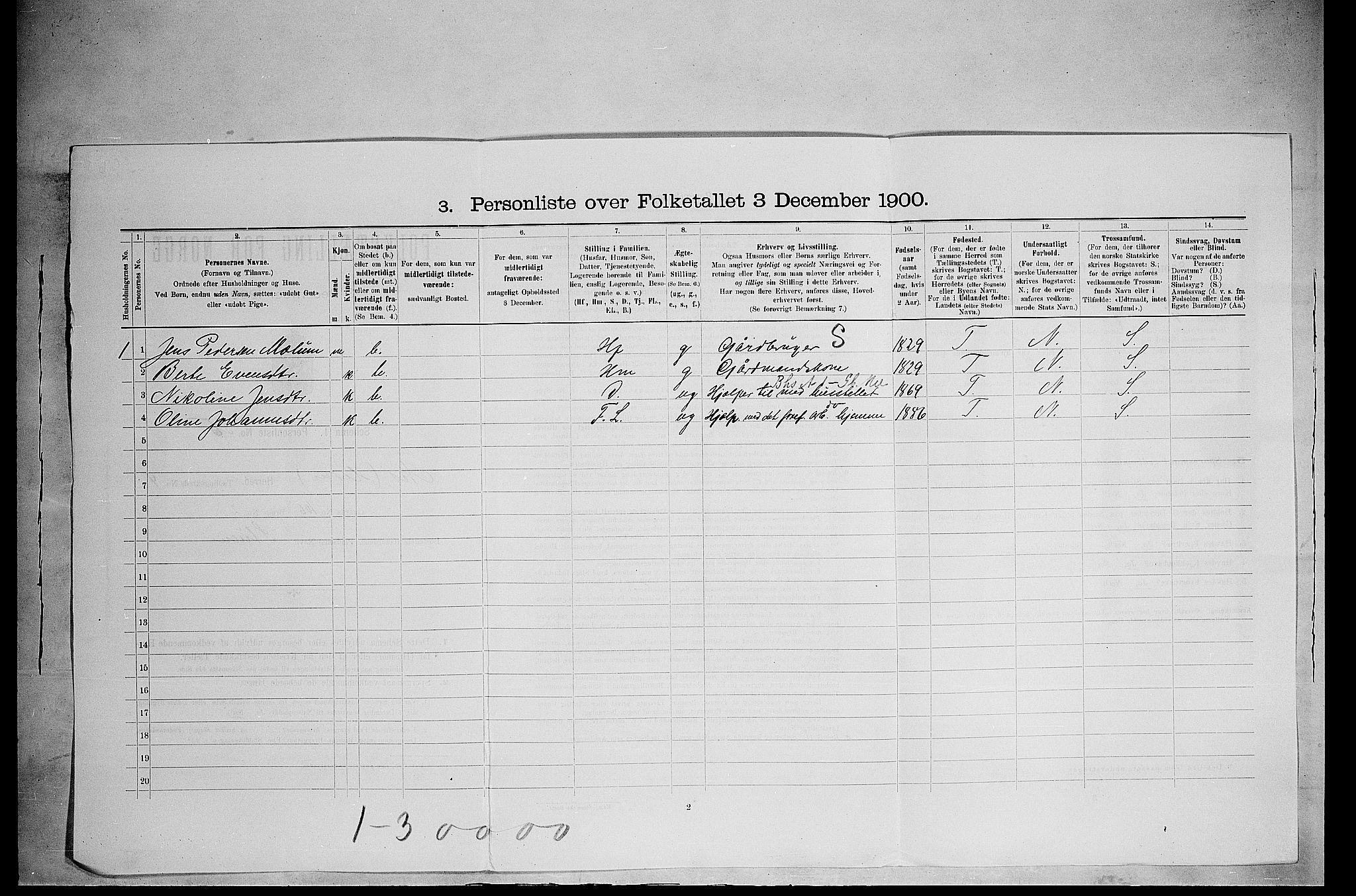 SAH, 1900 census for Nes, 1900, p. 619