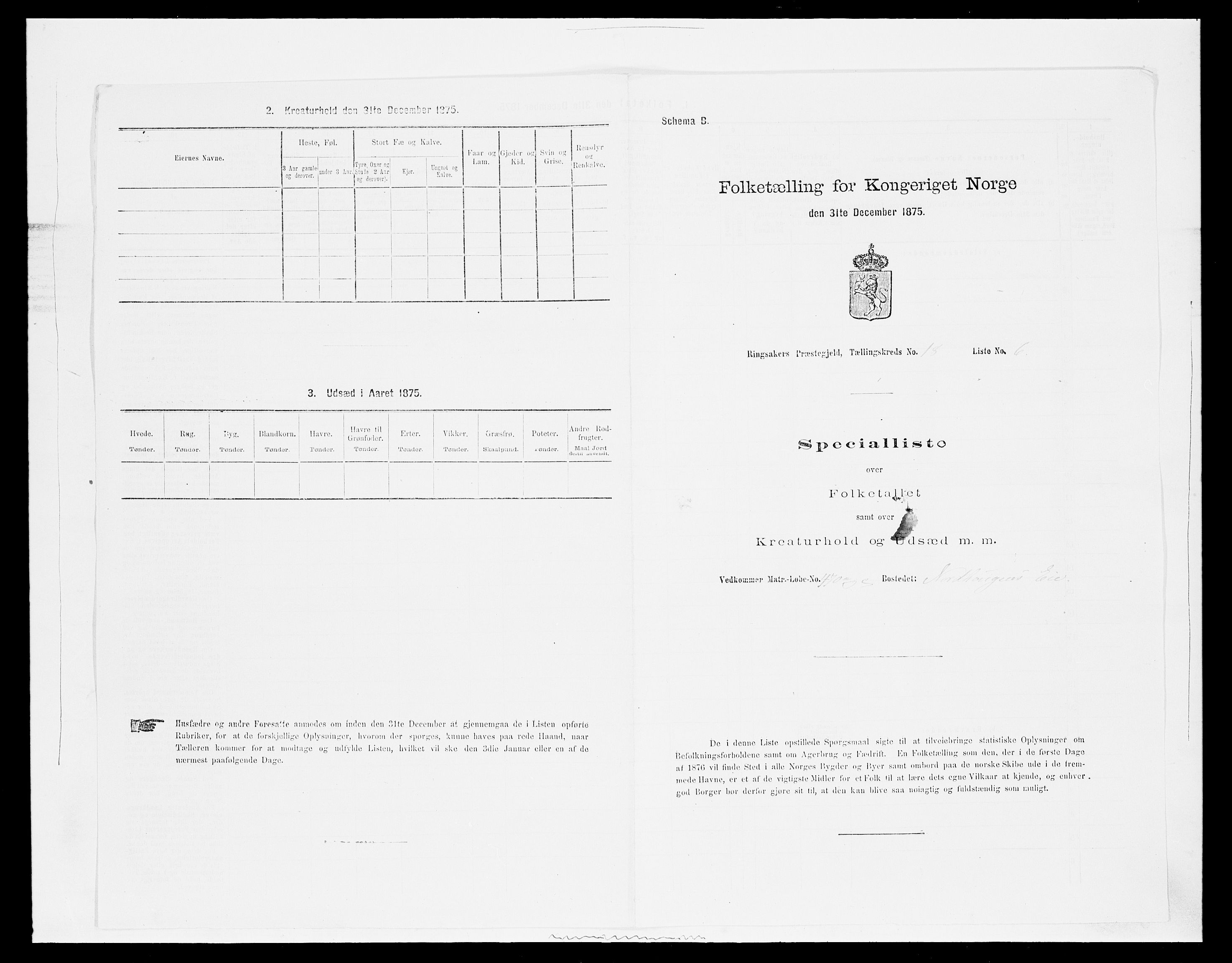 SAH, 1875 census for 0412P Ringsaker, 1875, p. 3568