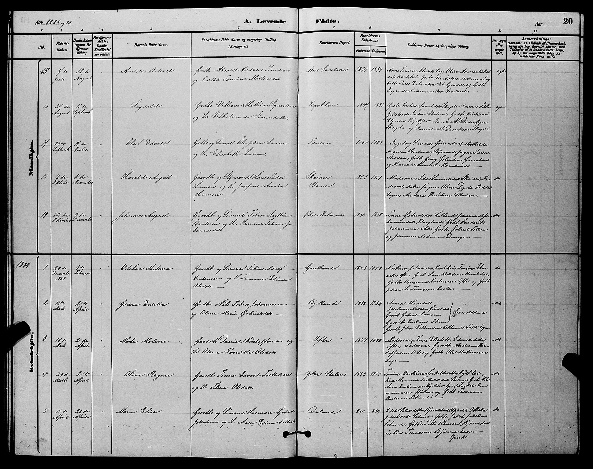 Herad sokneprestkontor, AV/SAK-1111-0018/F/Fb/Fba/L0004: Parish register (copy) no. B 4, 1882-1899, p. 20