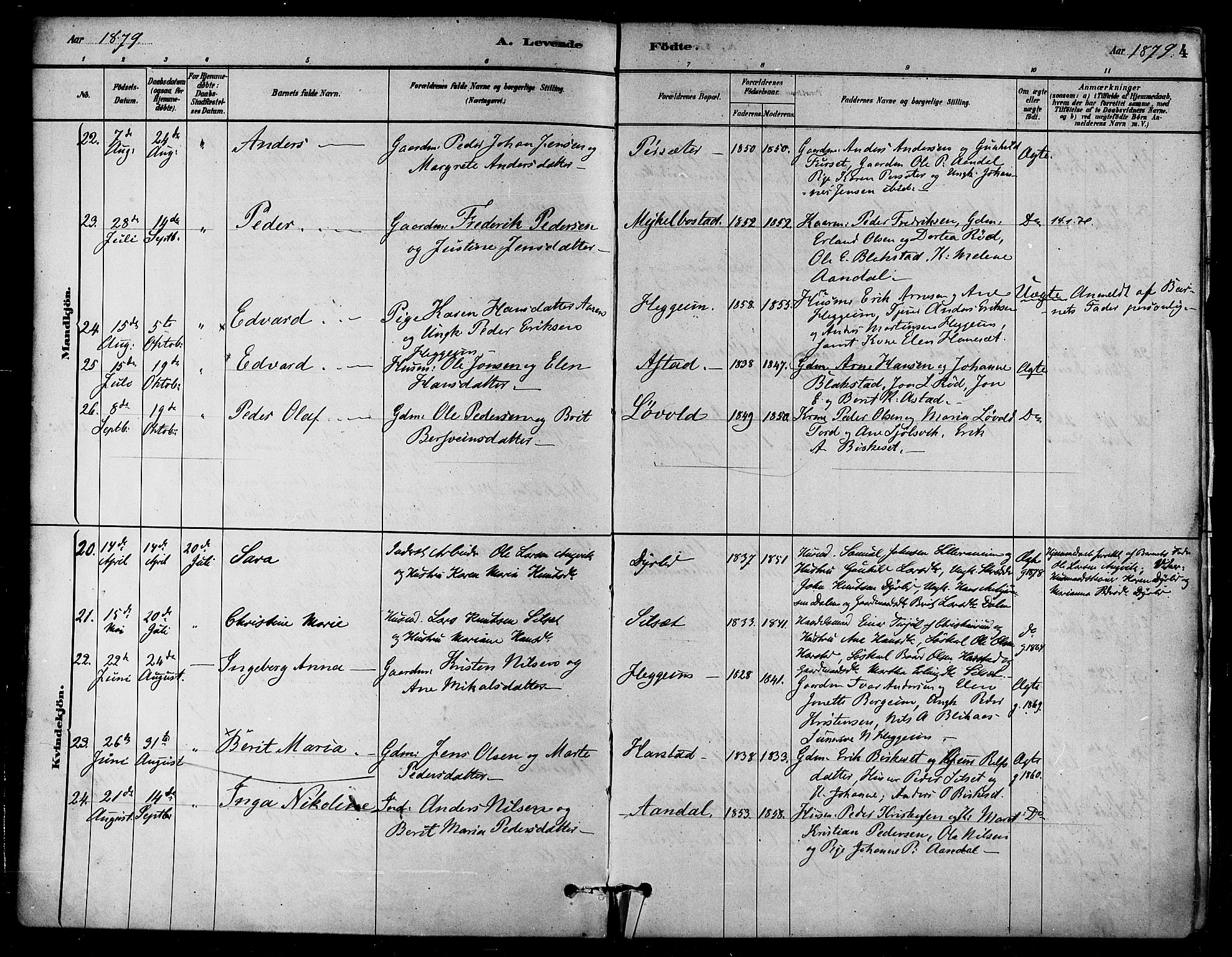 Ministerialprotokoller, klokkerbøker og fødselsregistre - Møre og Romsdal, AV/SAT-A-1454/584/L0967: Parish register (official) no. 584A07, 1879-1894, p. 4