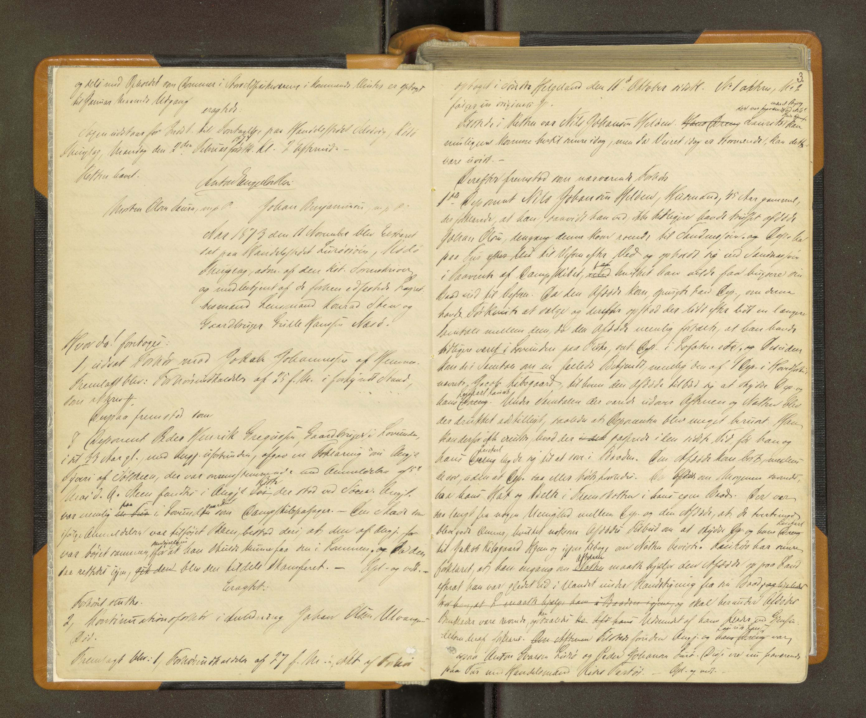Rana sorenskriveri , AV/SAT-A-1108/1/1/1B/L0008: Ekstrarettsprotokoll, 1873-1876, p. 2b-3a
