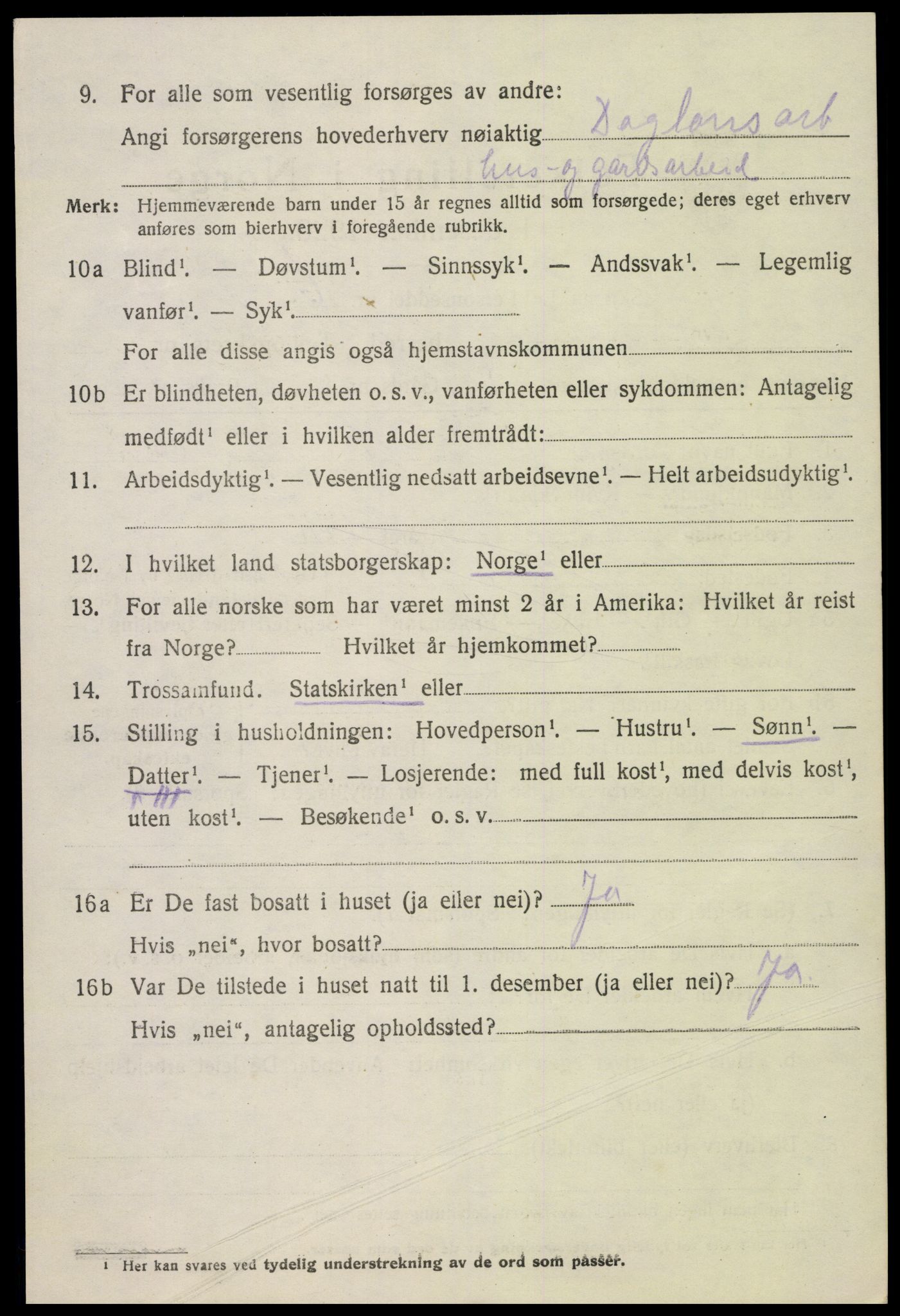 SAK, 1920 census for Hornnes, 1920, p. 906