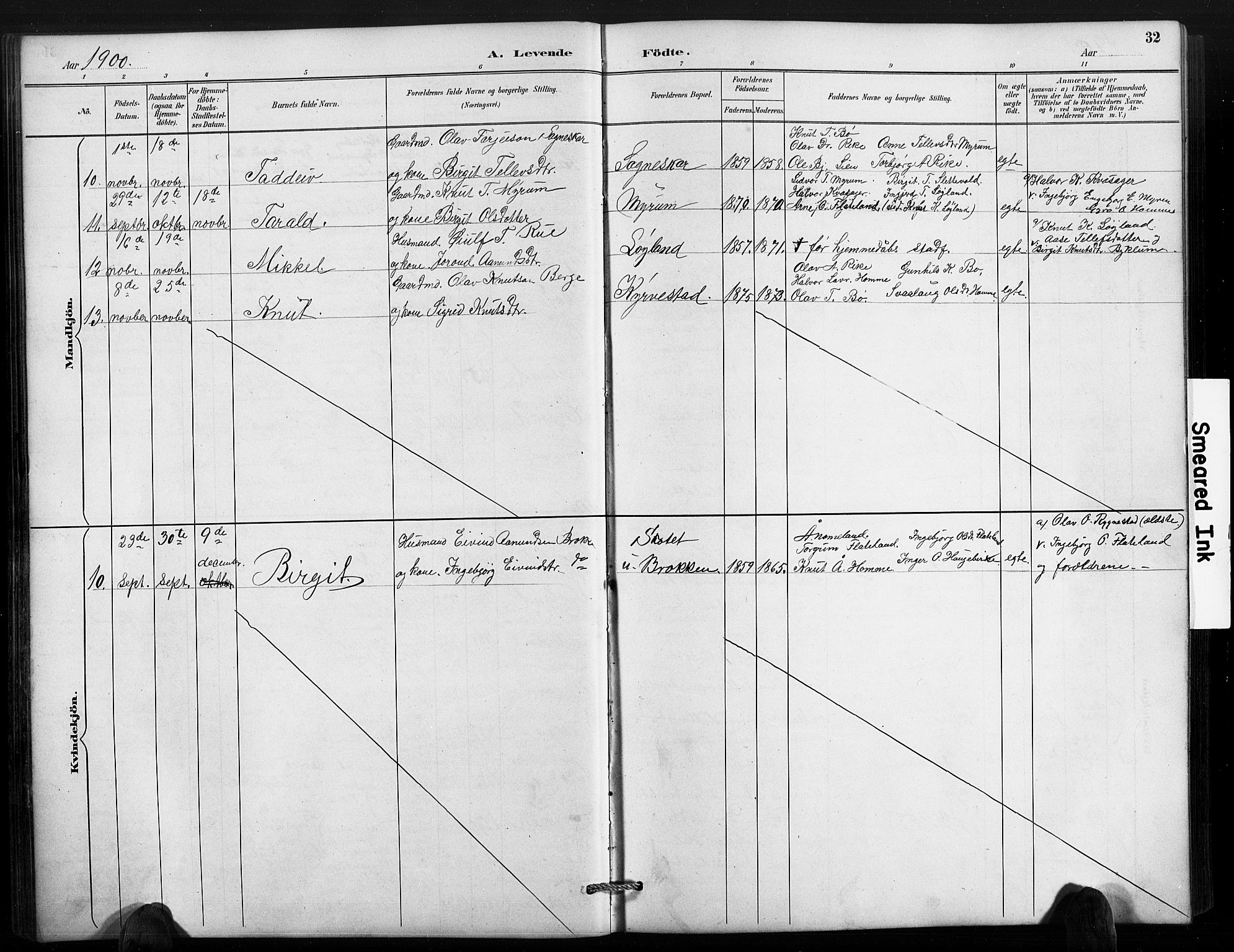 Valle sokneprestkontor, SAK/1111-0044/F/Fb/Fbc/L0004: Parish register (copy) no. B 4, 1890-1928, p. 32