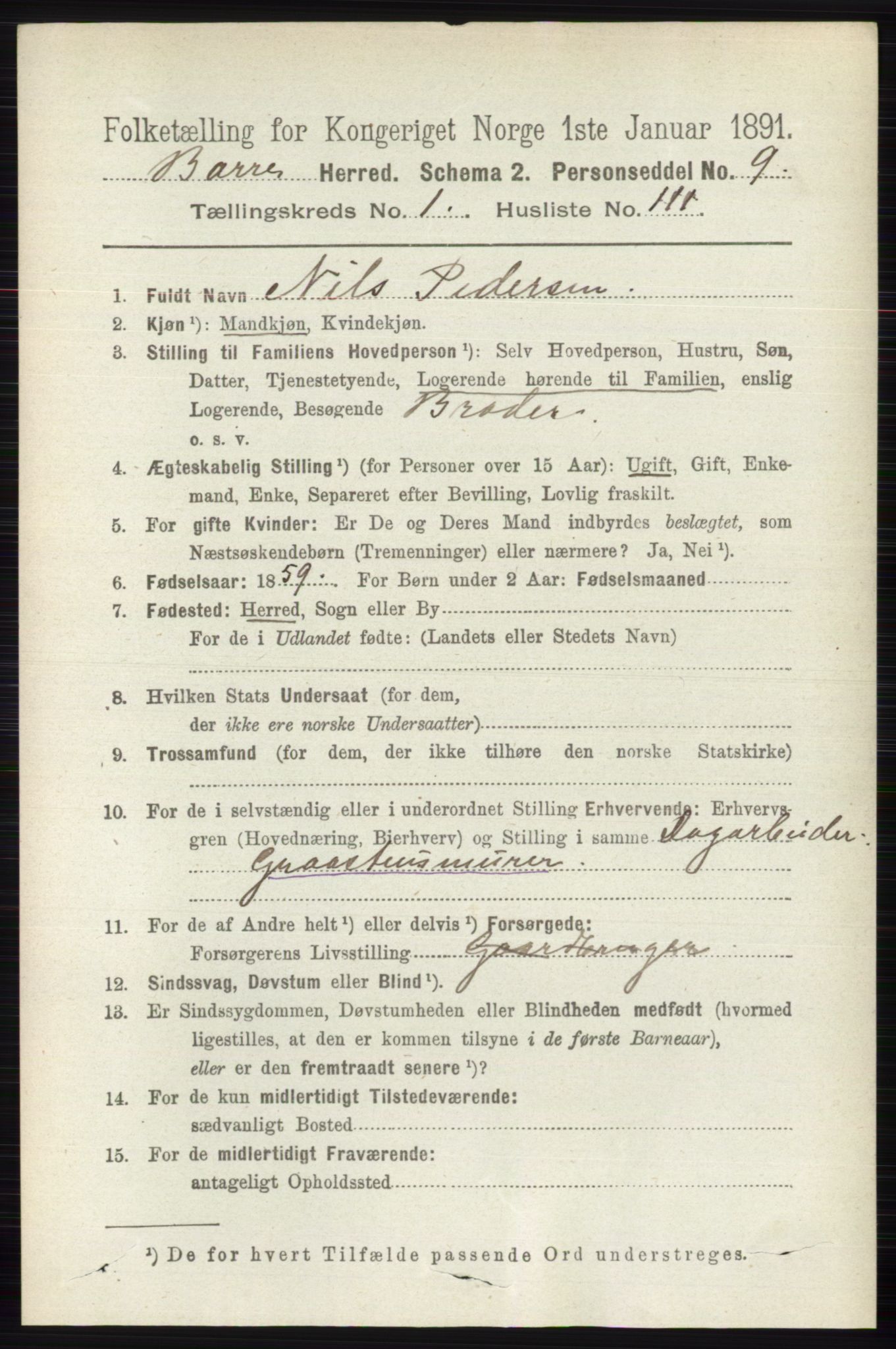 RA, 1891 census for 0717 Borre, 1891, p. 739