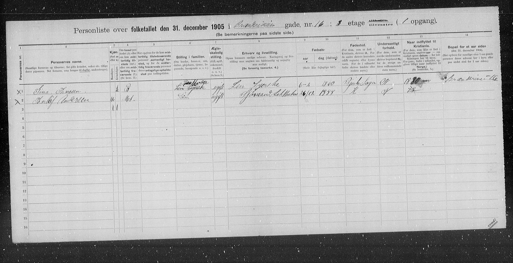 OBA, Municipal Census 1905 for Kristiania, 1905, p. 5295