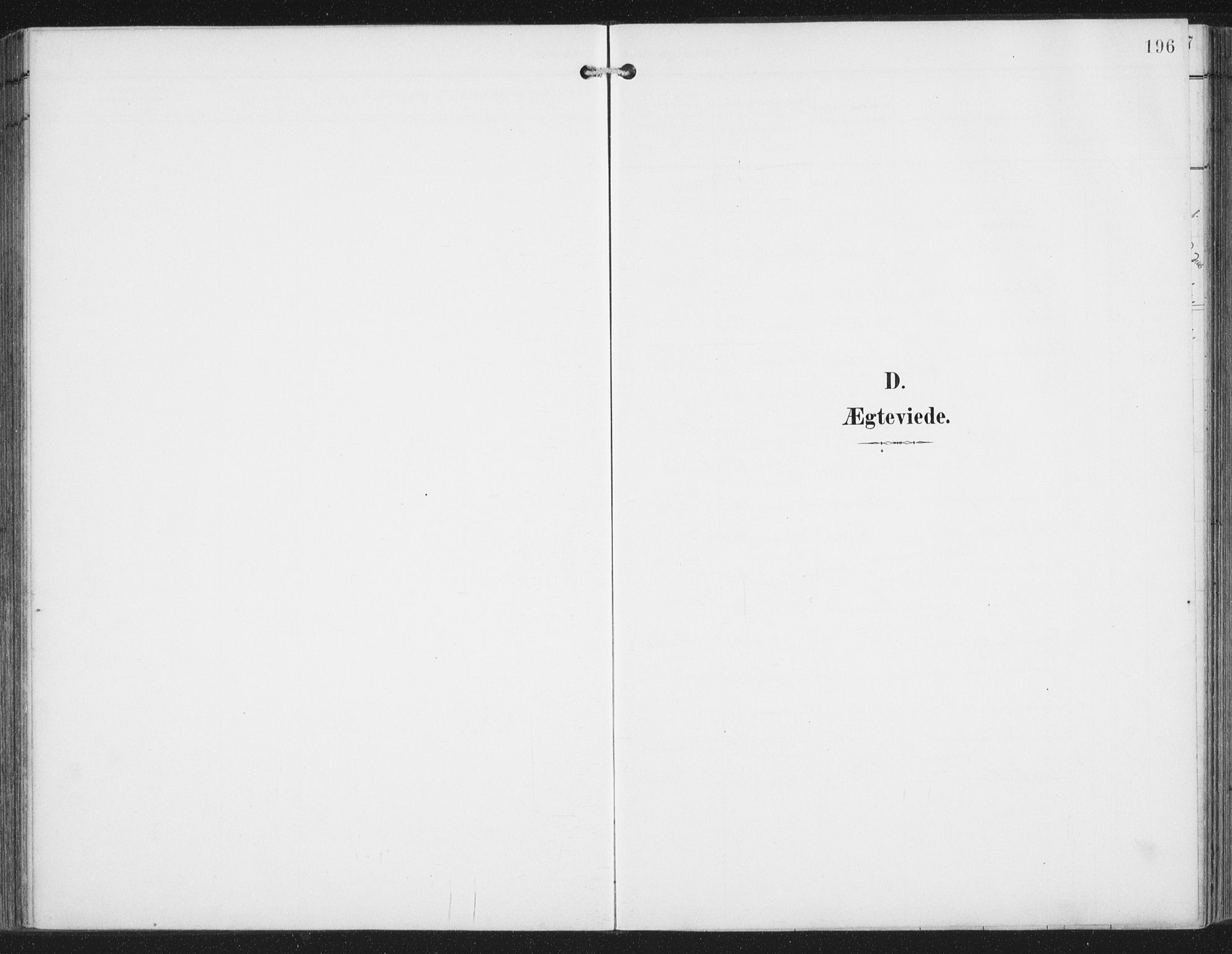 Ministerialprotokoller, klokkerbøker og fødselsregistre - Nordland, SAT/A-1459/876/L1098: Parish register (official) no. 876A04, 1896-1915, p. 196