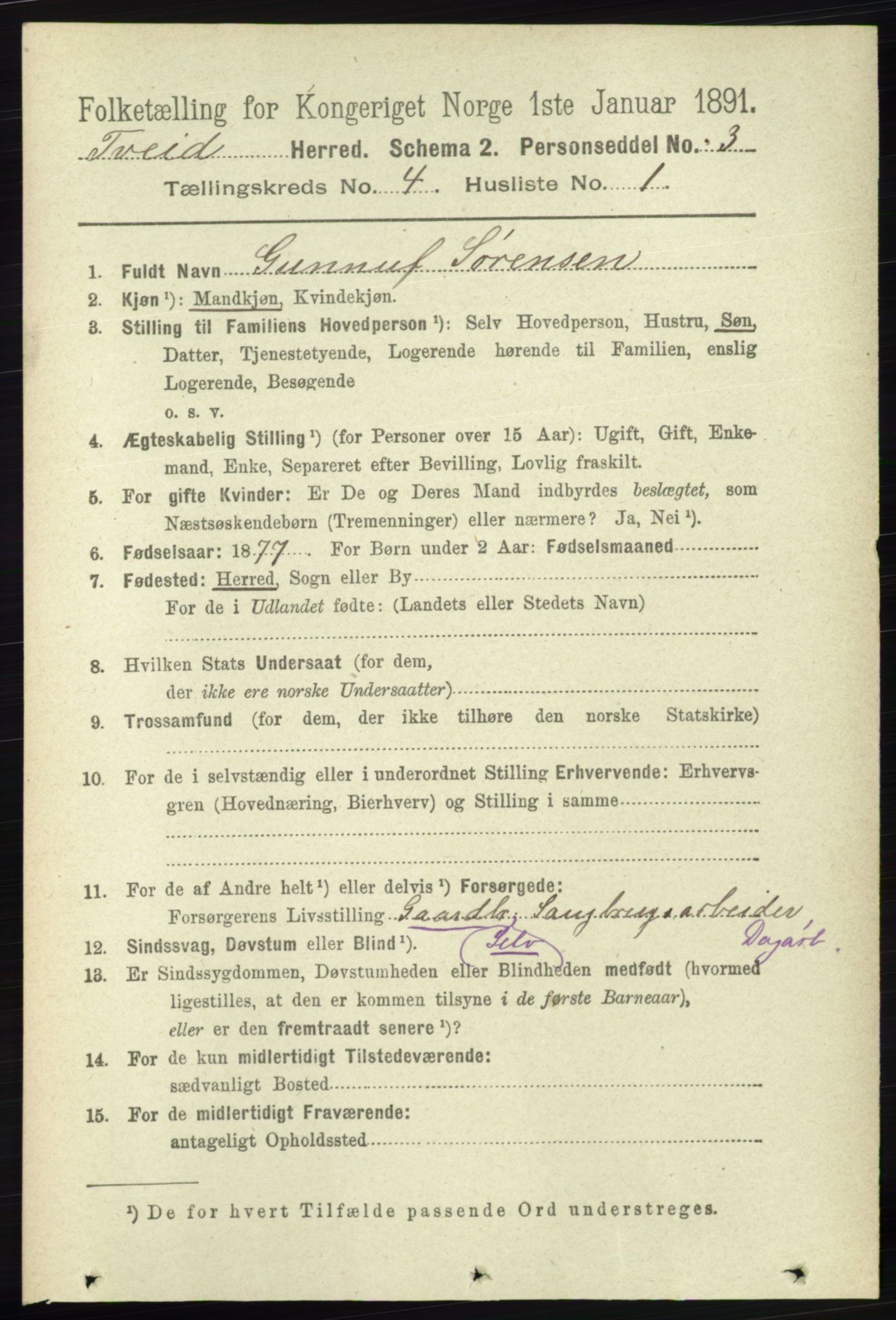 RA, 1891 census for 1013 Tveit, 1891, p. 1808