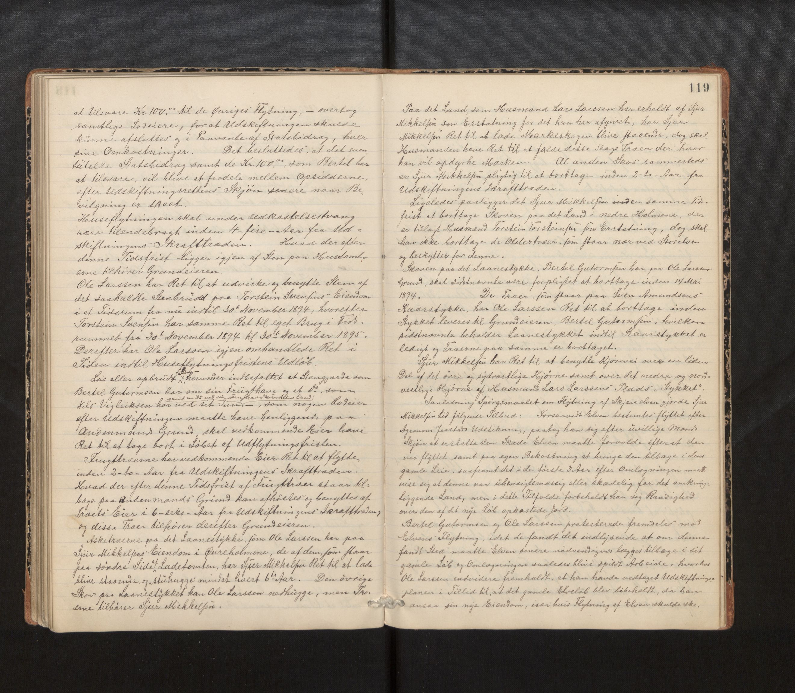 Hordaland jordskiftedøme - IV Hardanger jordskiftedistrikt, AV/SAB-A-7101/A/Aa/L0013: Forhandlingsprotokoll, 1890-1894, p. 118b-119a