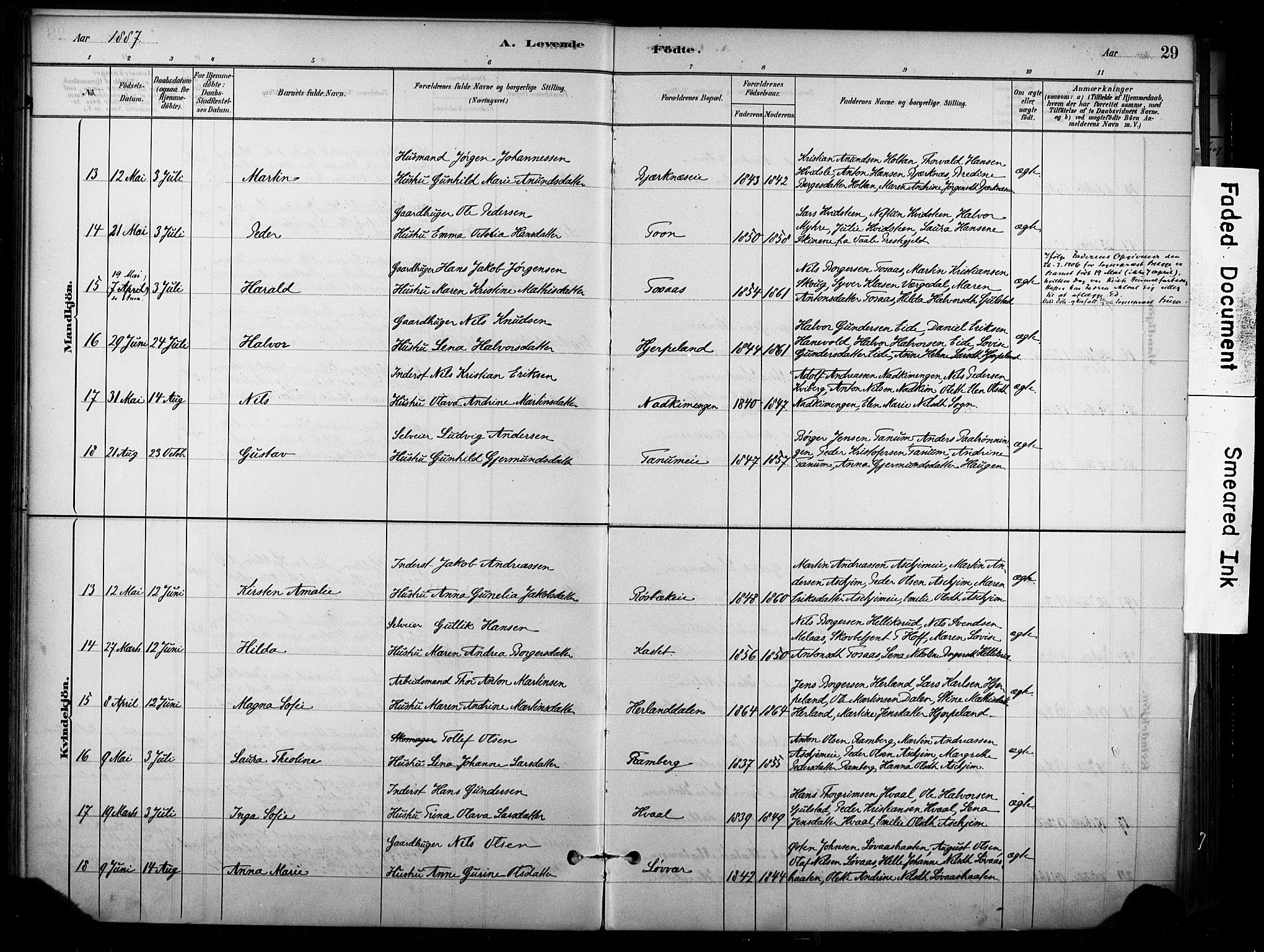 Lardal kirkebøker, AV/SAKO-A-350/F/Fb/L0001: Parish register (official) no. II 1, 1881-1911, p. 29