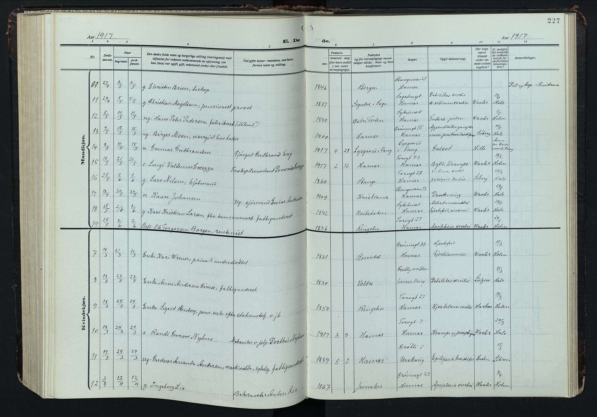 Hamar prestekontor, AV/SAH-DOMPH-002/H/Ha/Hab/L0004: Parish register (copy) no. 4, 1915-1942, p. 227