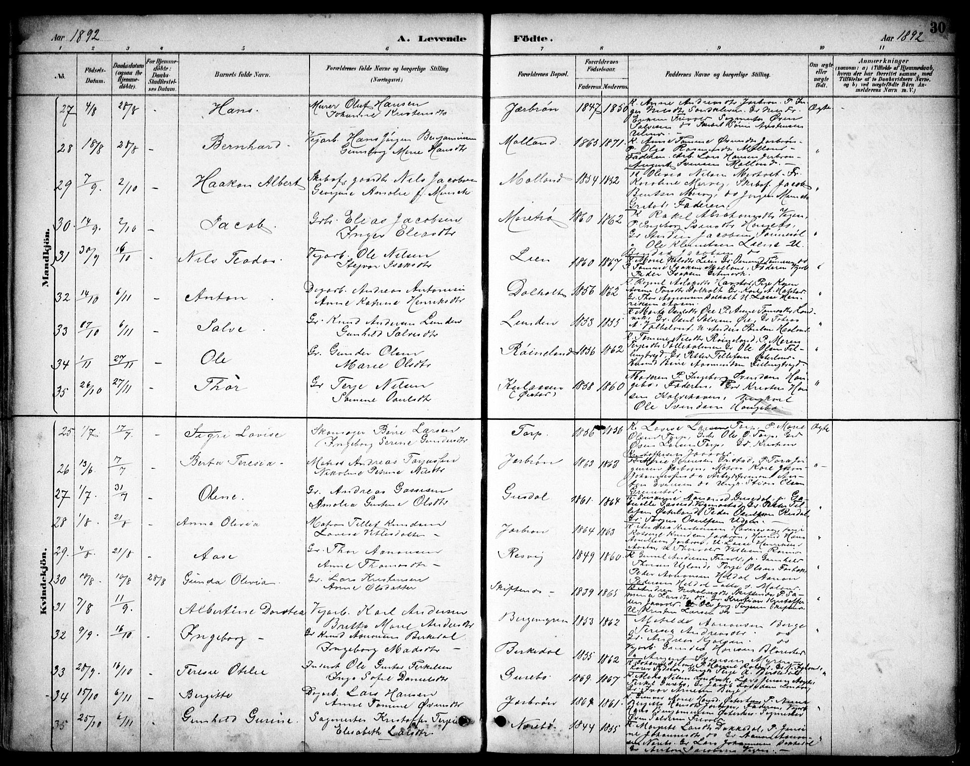 Hommedal sokneprestkontor, AV/SAK-1111-0023/F/Fb/Fbb/L0007: Parish register (copy) no. B 7, 1885-1904, p. 30