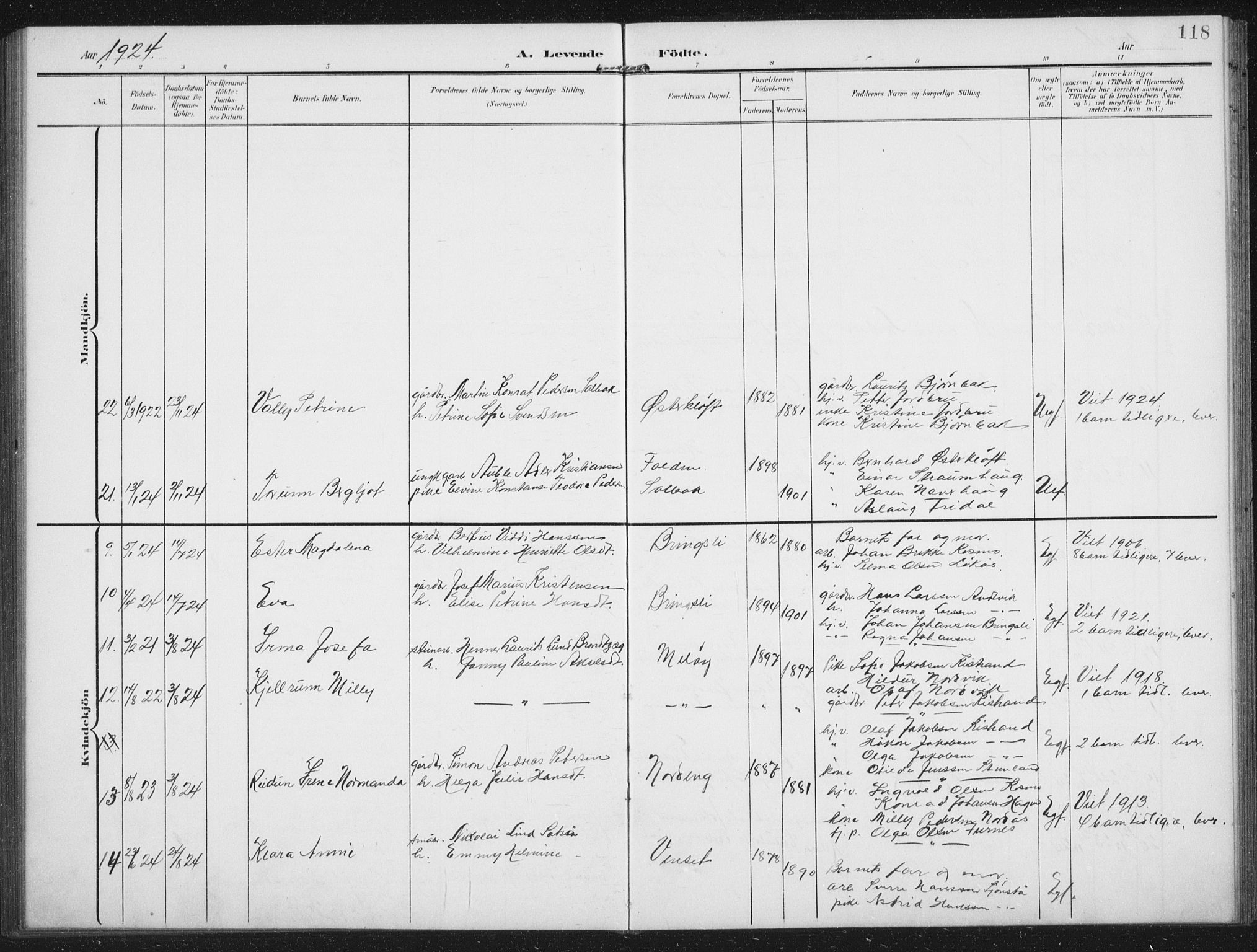 Ministerialprotokoller, klokkerbøker og fødselsregistre - Nordland, AV/SAT-A-1459/851/L0726: Parish register (copy) no. 851C01, 1902-1924, p. 118