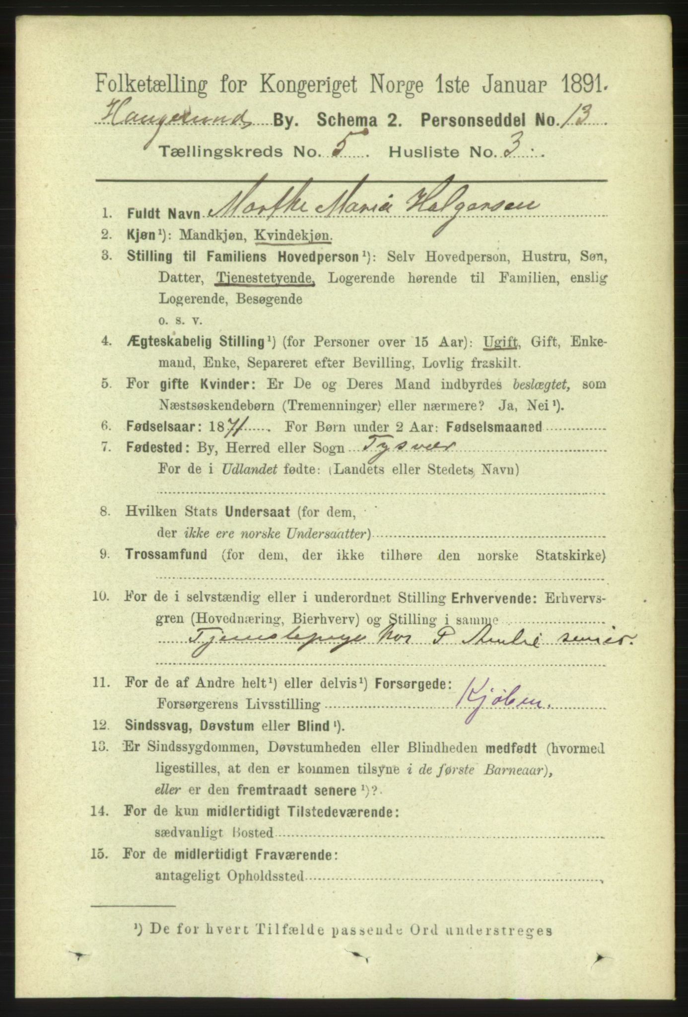 RA, 1891 census for 1106 Haugesund, 1891, p. 1965