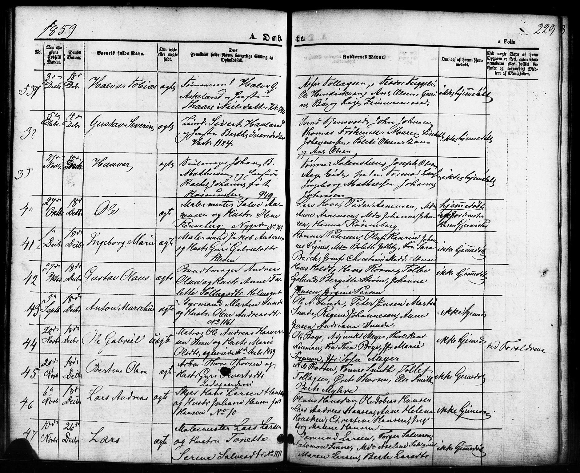 Domkirken sokneprestkontor, SAST/A-101812/001/30/30BB/L0010: Parish register (copy) no. B 10, 1855-1860, p. 229