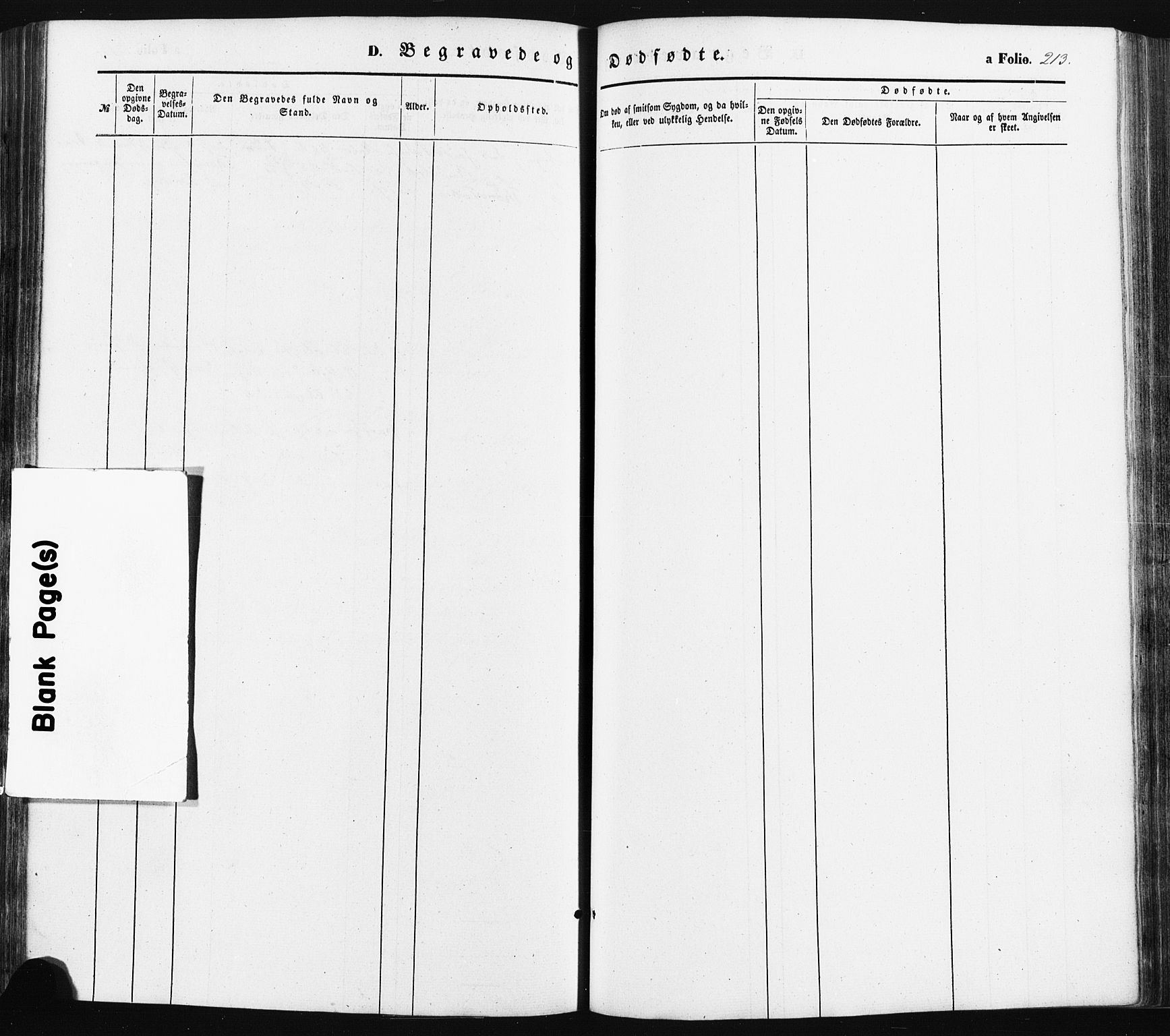 Oddernes sokneprestkontor, SAK/1111-0033/F/Fa/Faa/L0007: Parish register (official) no. A 7, 1851-1863, p. 213