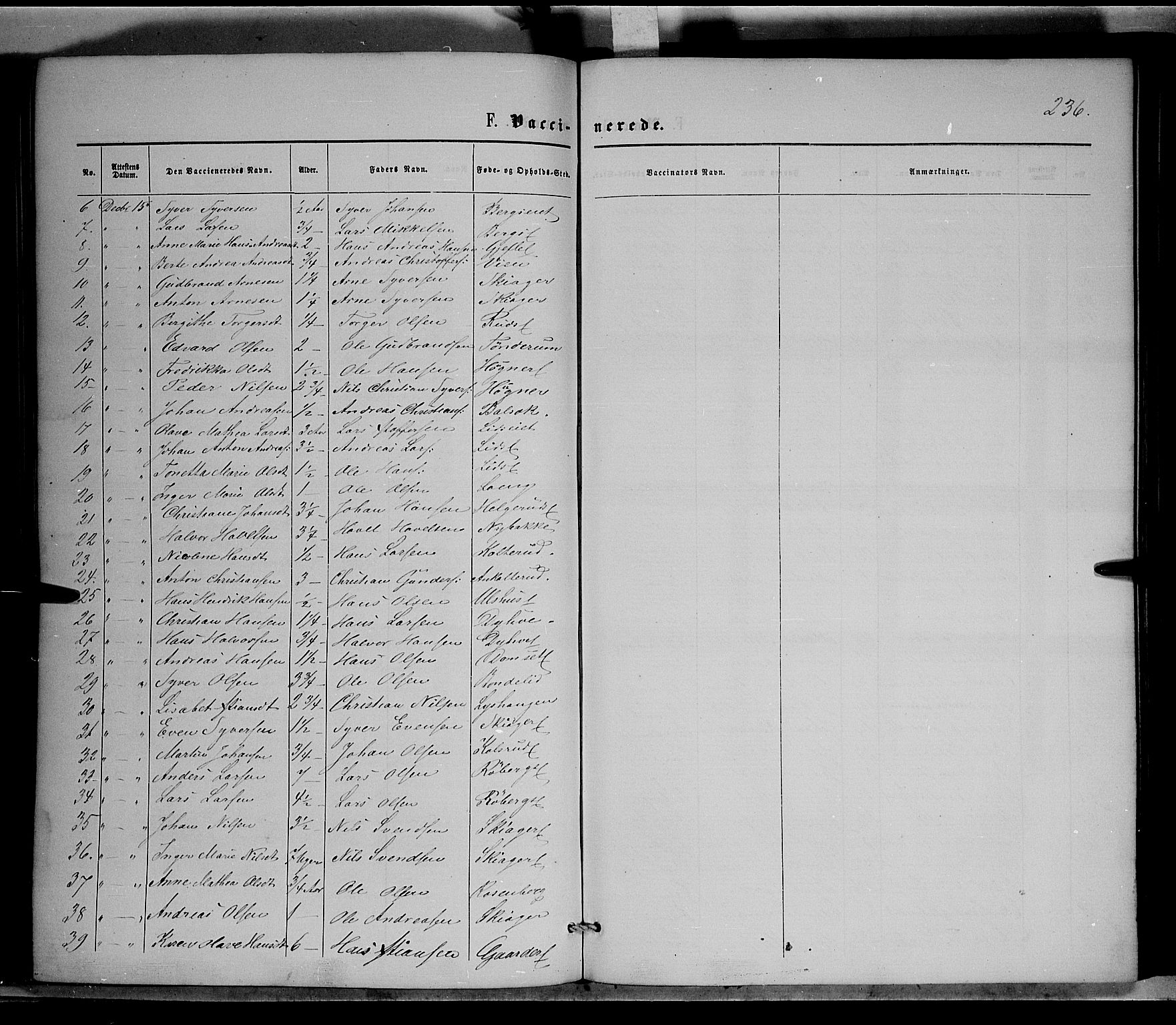 Nordre Land prestekontor, SAH/PREST-124/H/Ha/Haa/L0001: Parish register (official) no. 1, 1860-1871, p. 236