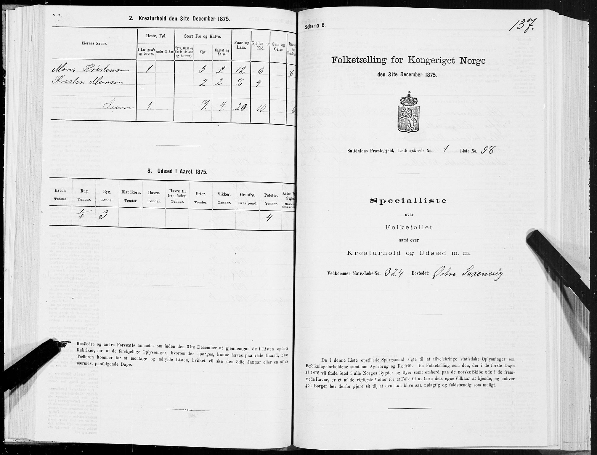SAT, 1875 census for 1840P Saltdal, 1875, p. 1137