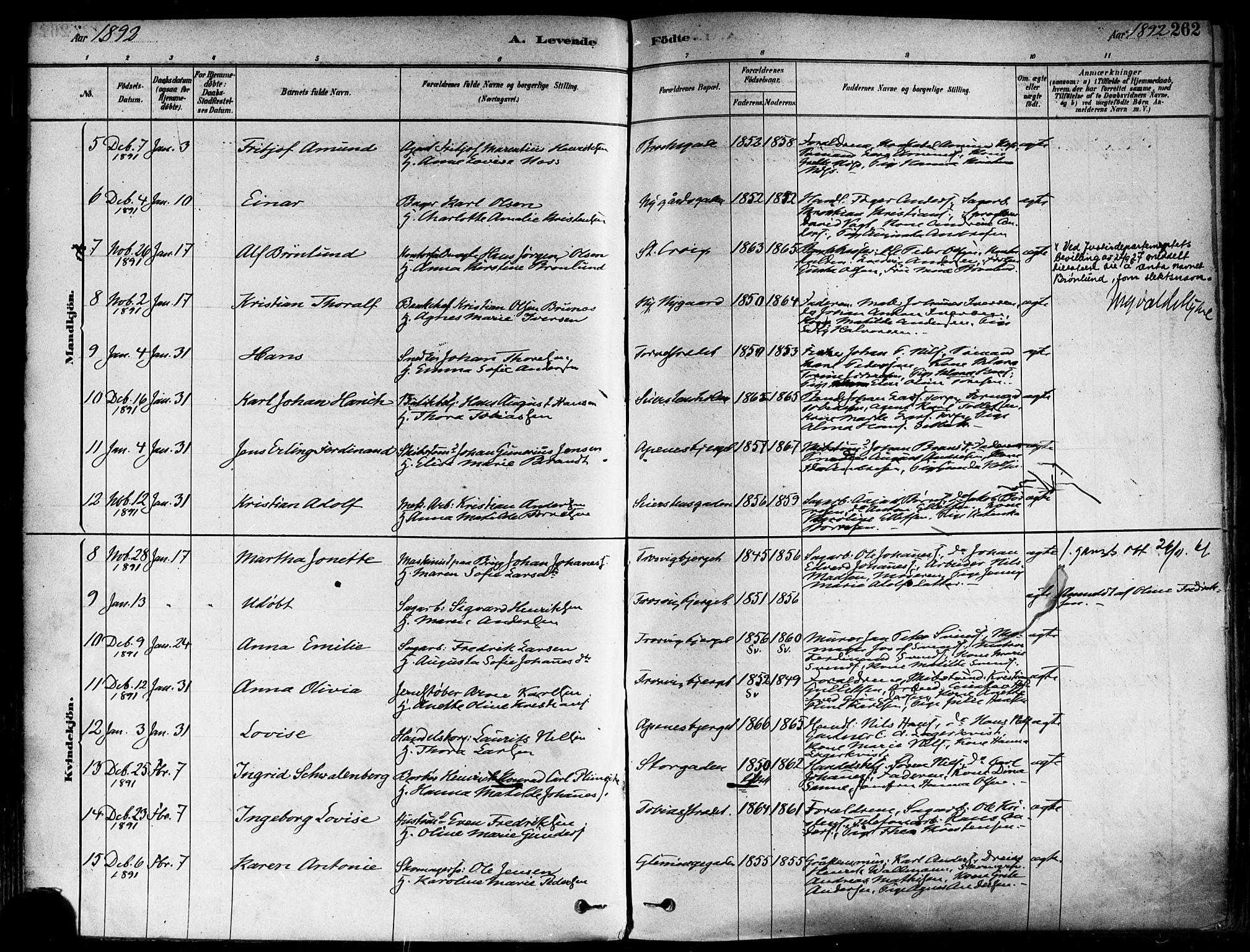 Fredrikstad domkirkes prestekontor Kirkebøker, SAO/A-10906/F/Fa/L0002: Parish register (official) no. 2, 1878-1894, p. 262
