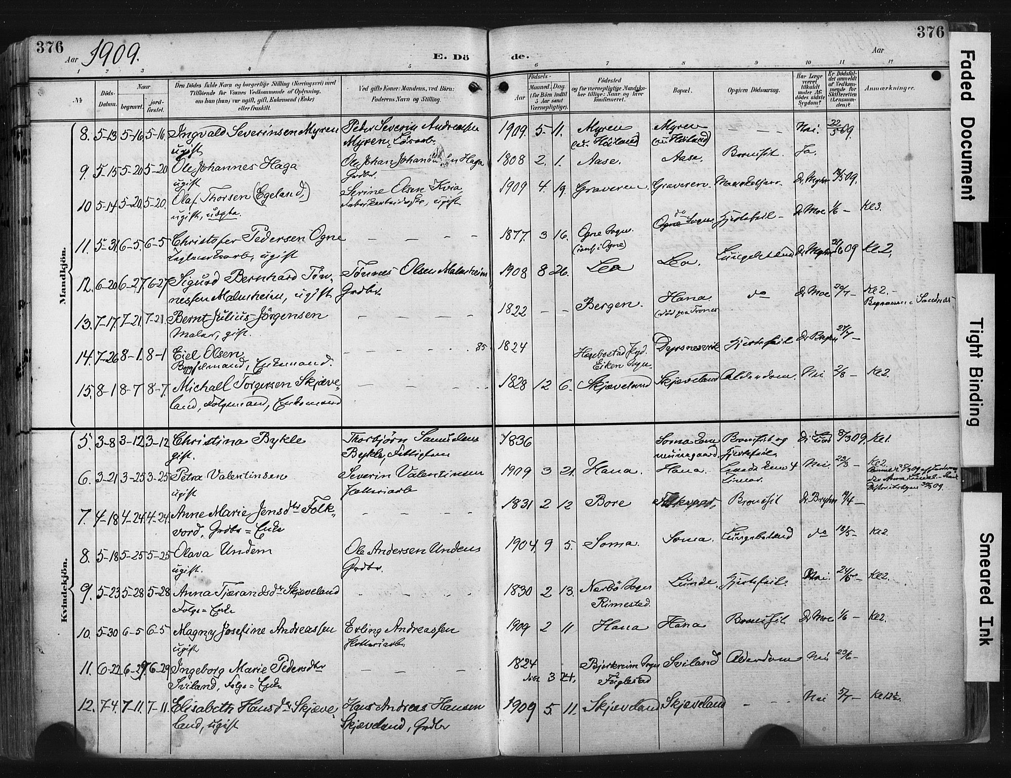 Høyland sokneprestkontor, SAST/A-101799/001/30BA/L0015: Parish register (official) no. A 14, 1899-1911, p. 376