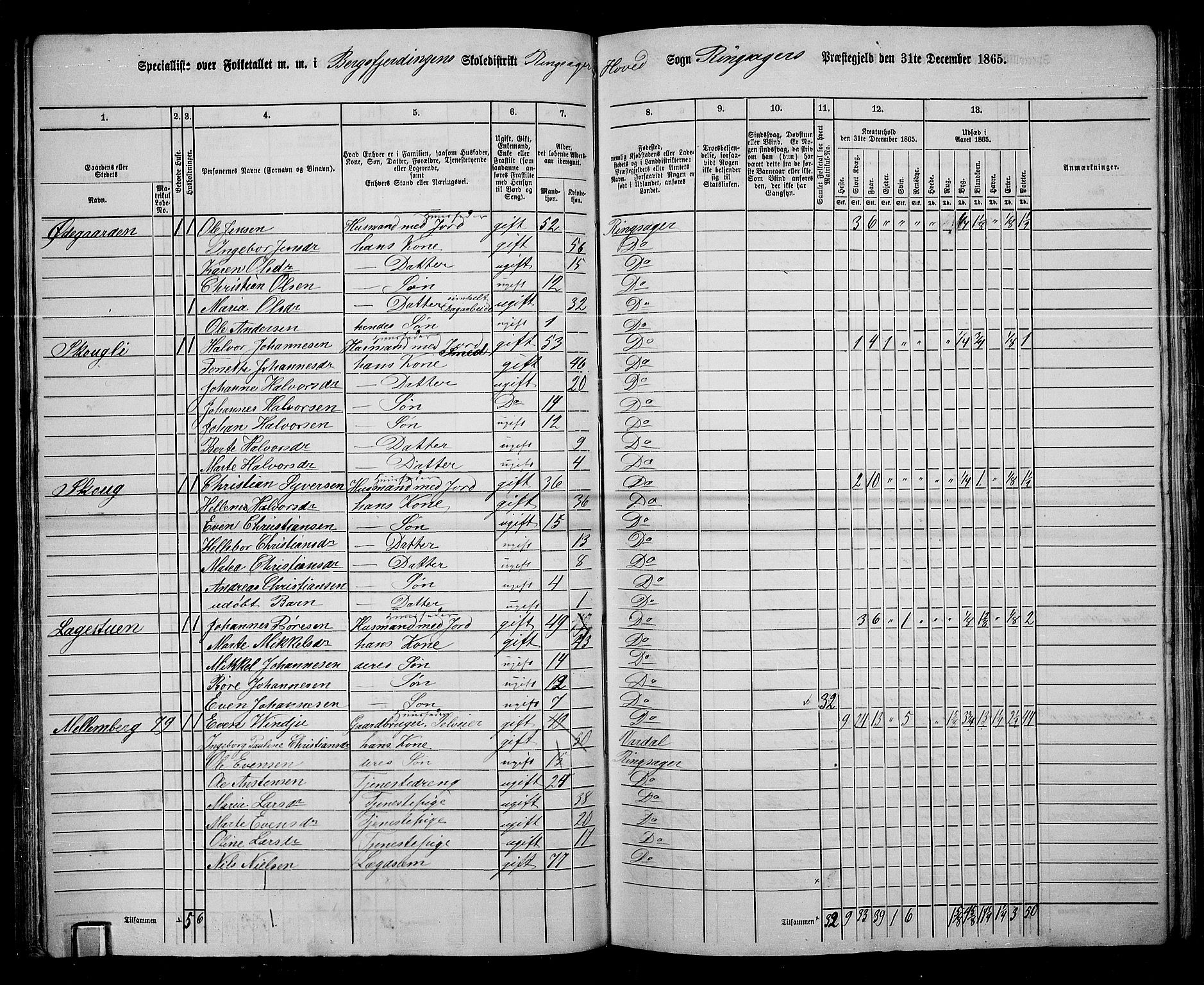 RA, 1865 census for Ringsaker, 1865, p. 93