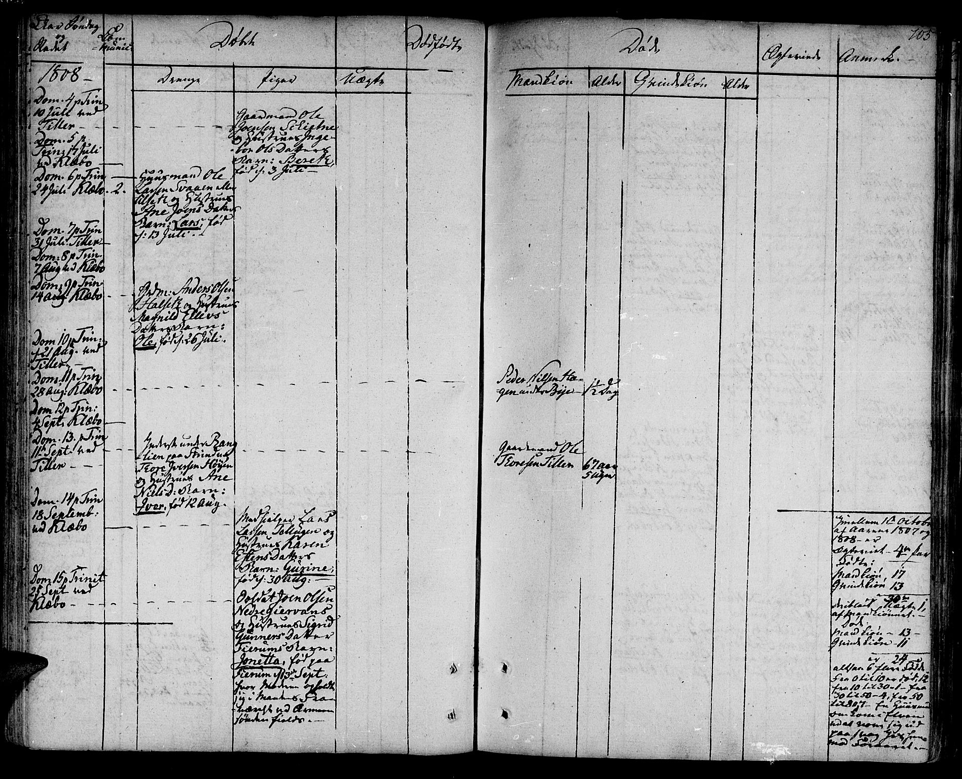 Ministerialprotokoller, klokkerbøker og fødselsregistre - Sør-Trøndelag, AV/SAT-A-1456/618/L0438: Parish register (official) no. 618A03, 1783-1815, p. 105