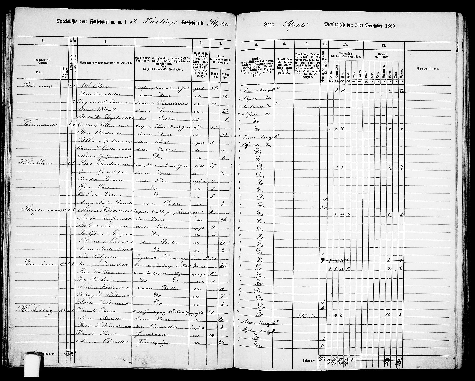 RA, 1865 census for Skjold, 1865, p. 86