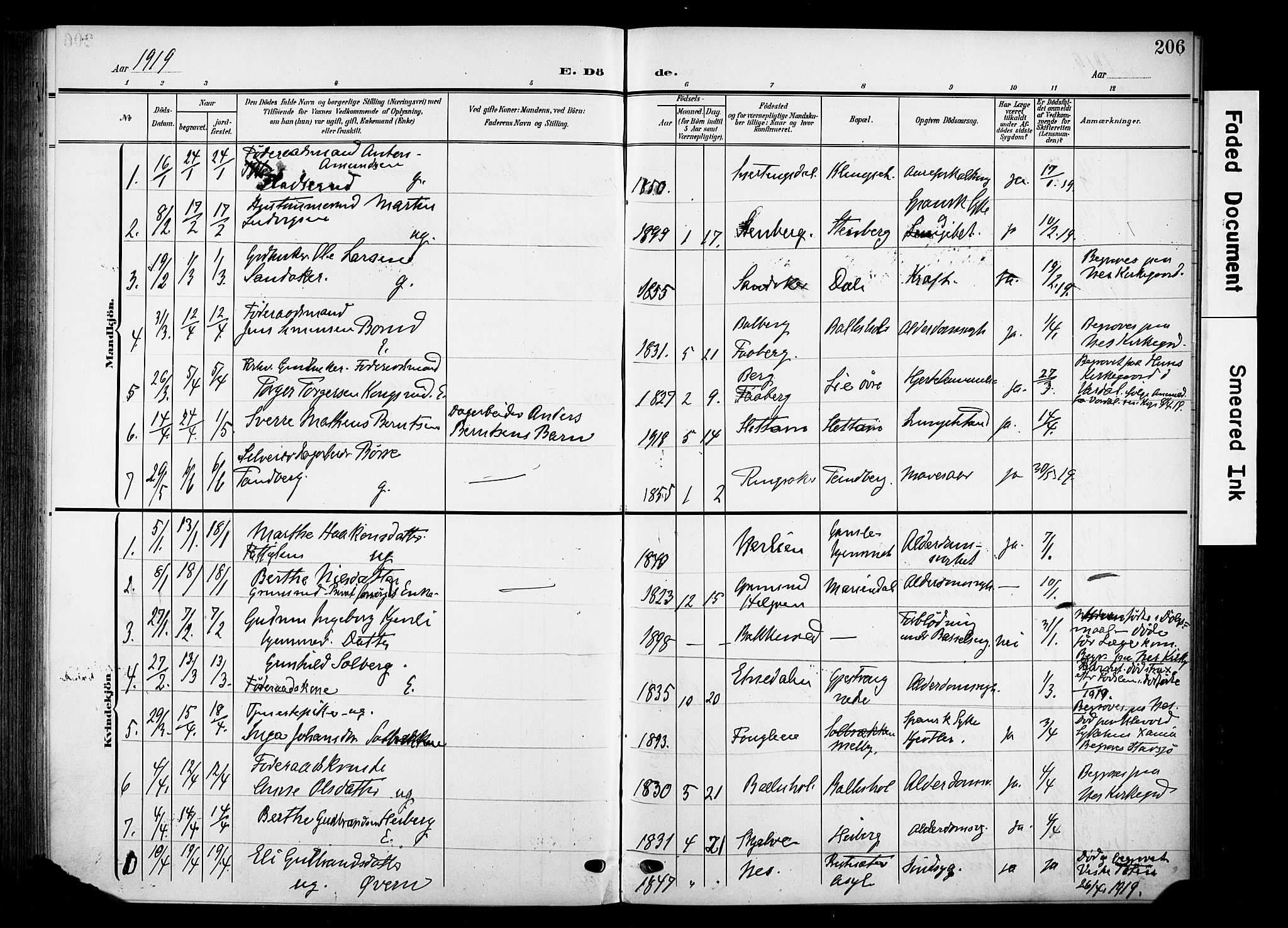 Nes prestekontor, Hedmark, SAH/PREST-020/K/Ka/L0013: Parish register (official) no. 13, 1906-1924, p. 206