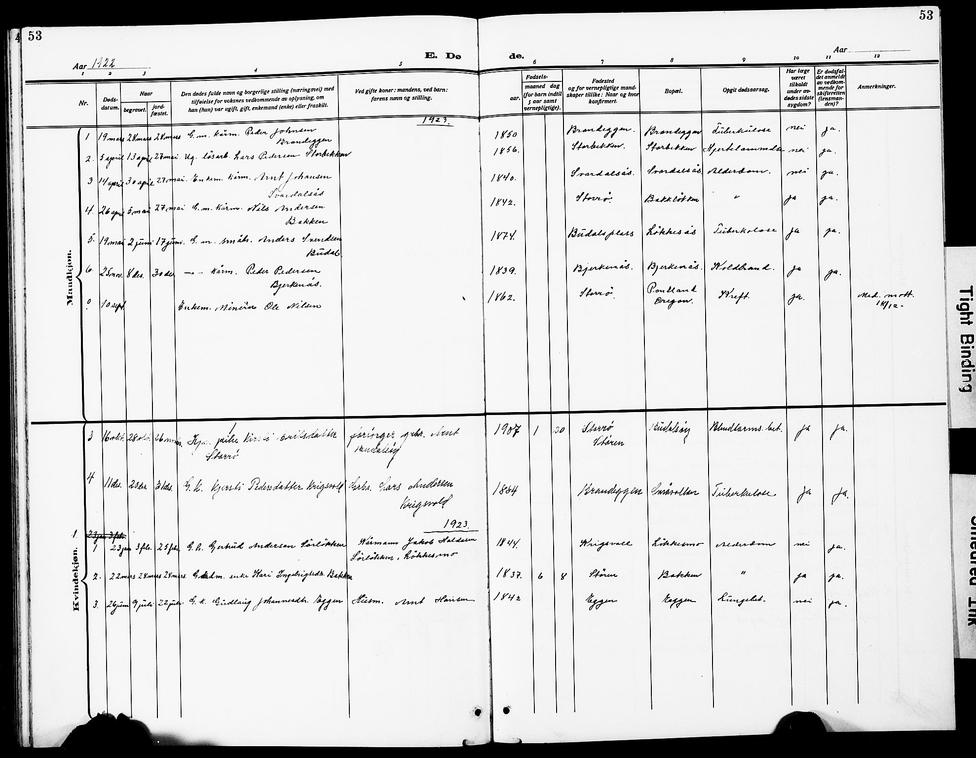 Ministerialprotokoller, klokkerbøker og fødselsregistre - Sør-Trøndelag, SAT/A-1456/690/L1052: Parish register (copy) no. 690C02, 1907-1929, p. 53