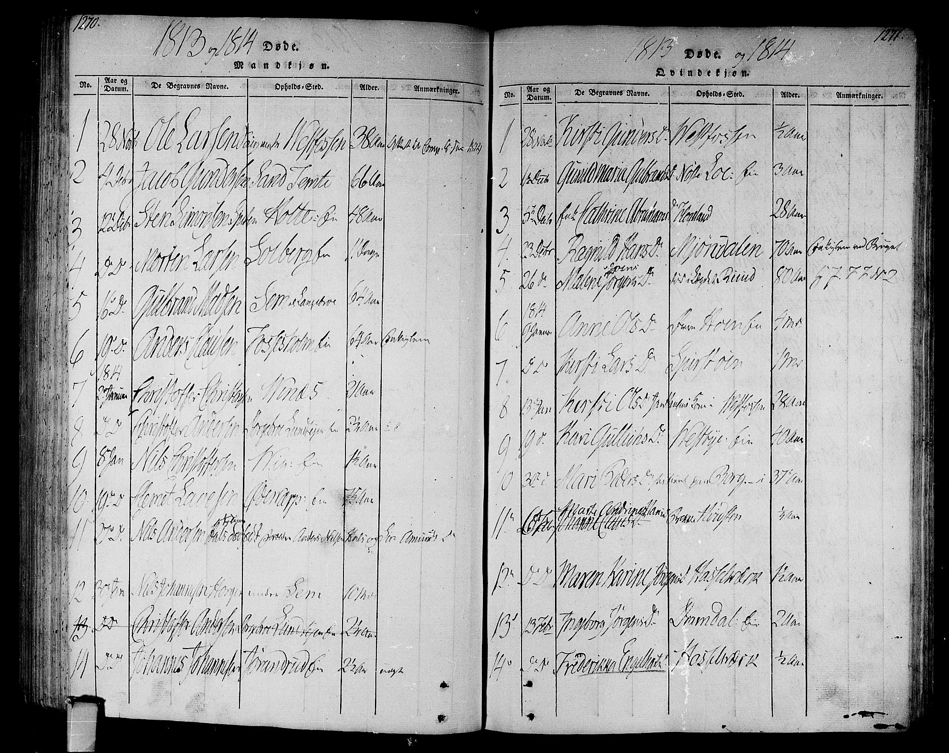 Eiker kirkebøker, AV/SAKO-A-4/F/Fa/L0010: Parish register (official) no. I 10, 1806-1815, p. 1270-1271