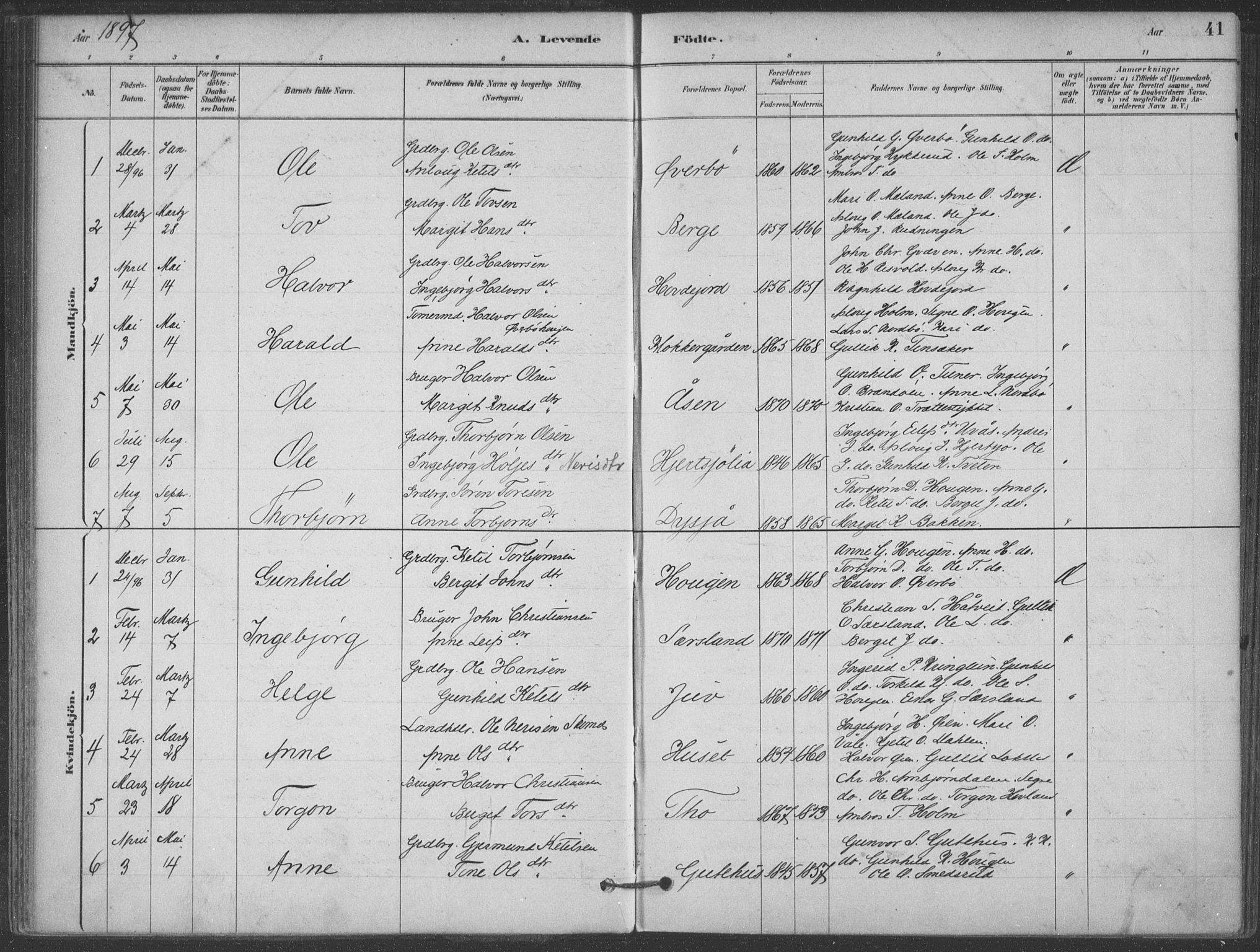 Hjartdal kirkebøker, SAKO/A-270/F/Fa/L0010: Parish register (official) no. I 10, 1880-1929, p. 41