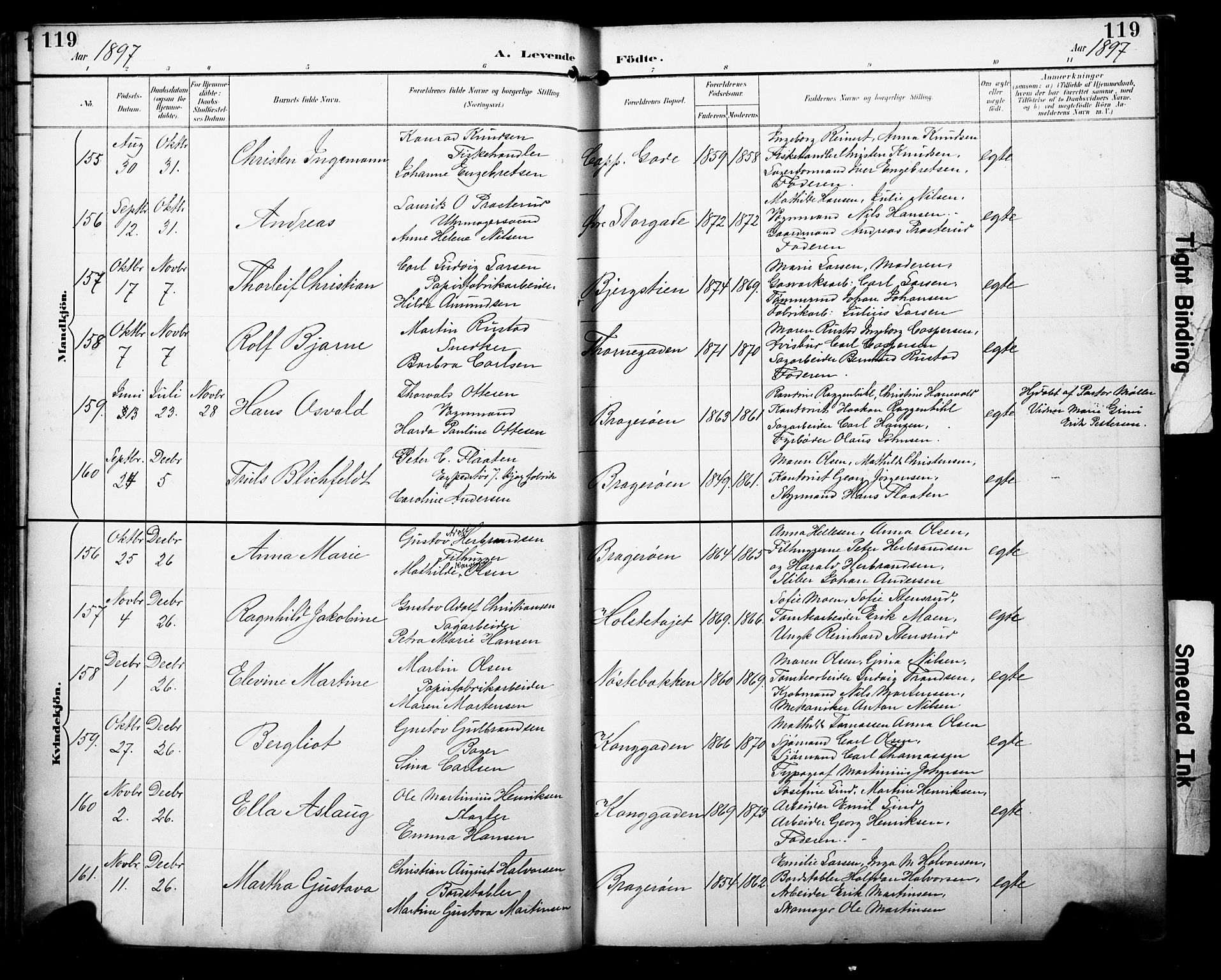 Bragernes kirkebøker, AV/SAKO-A-6/F/Fb/L0008: Parish register (official) no. II 8, 1894-1902, p. 119