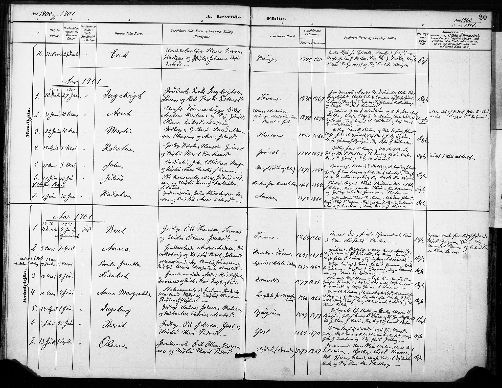 Ministerialprotokoller, klokkerbøker og fødselsregistre - Sør-Trøndelag, SAT/A-1456/685/L0973: Parish register (official) no. 685A10, 1891-1907, p. 20