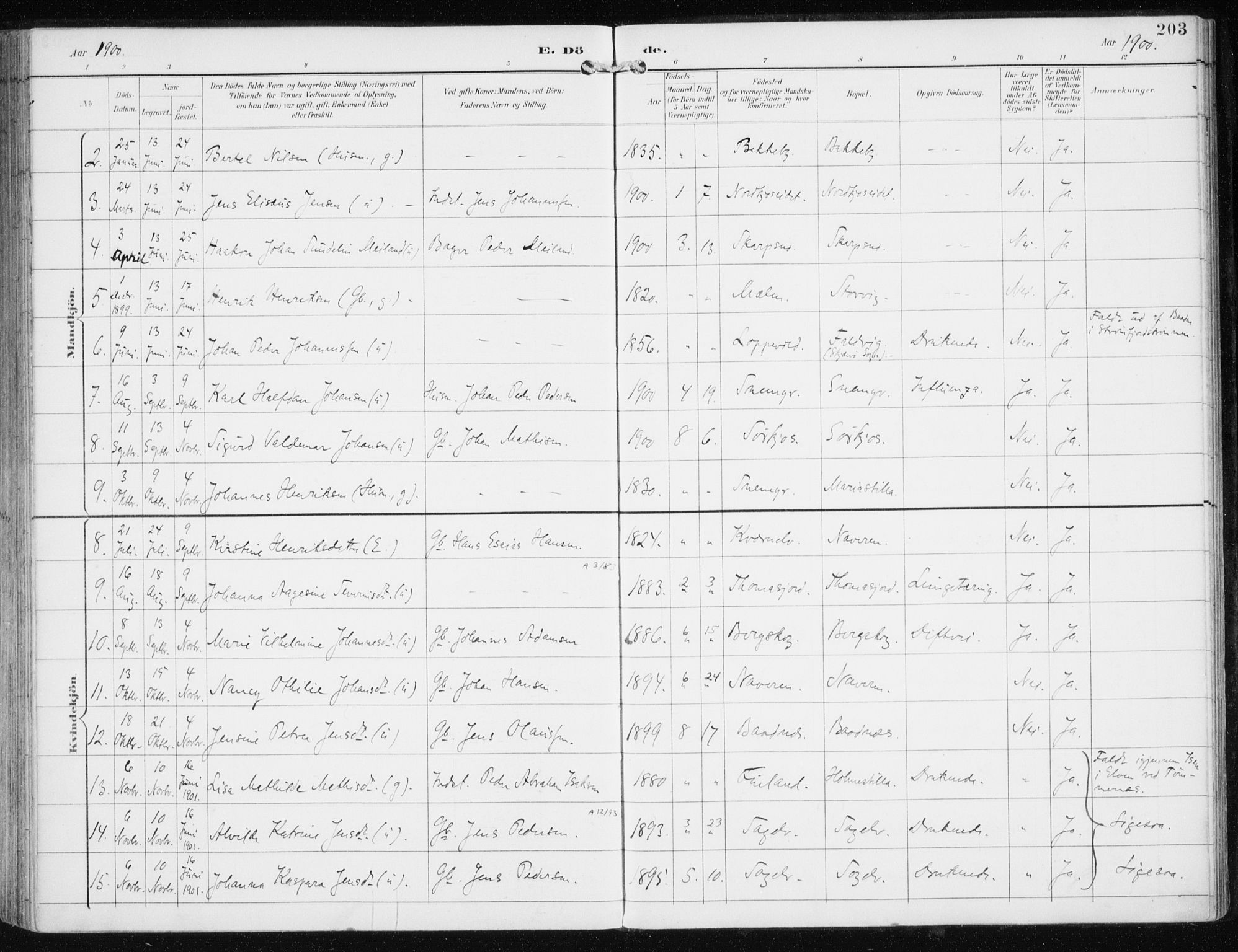 Skjervøy sokneprestkontor, AV/SATØ-S-1300/H/Ha/Haa/L0017kirke: Parish register (official) no. 17, 1895-1911, p. 203