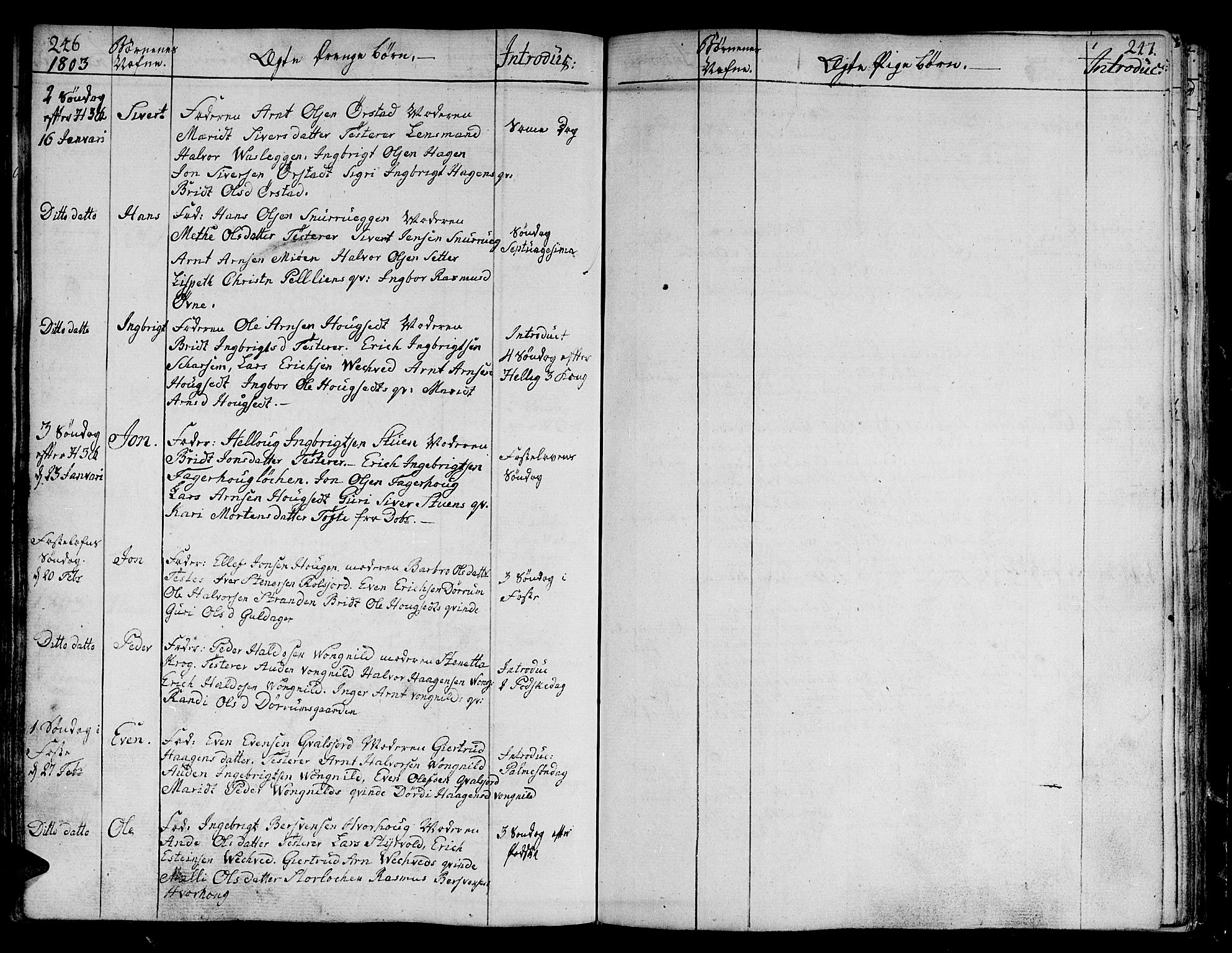 Ministerialprotokoller, klokkerbøker og fødselsregistre - Sør-Trøndelag, SAT/A-1456/678/L0893: Parish register (official) no. 678A03, 1792-1805, p. 246-247