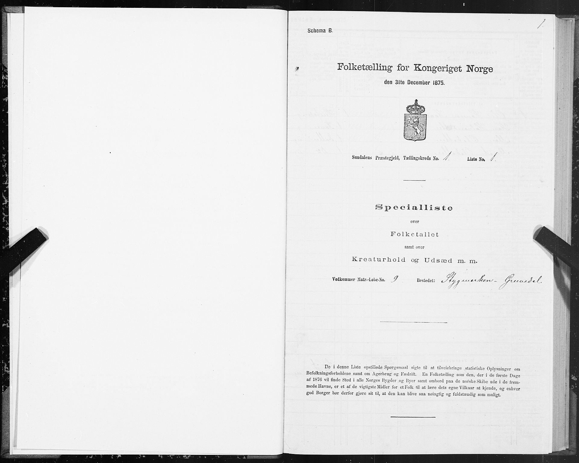 SAT, 1875 census for 1563P Sunndal, 1875, p. 1001