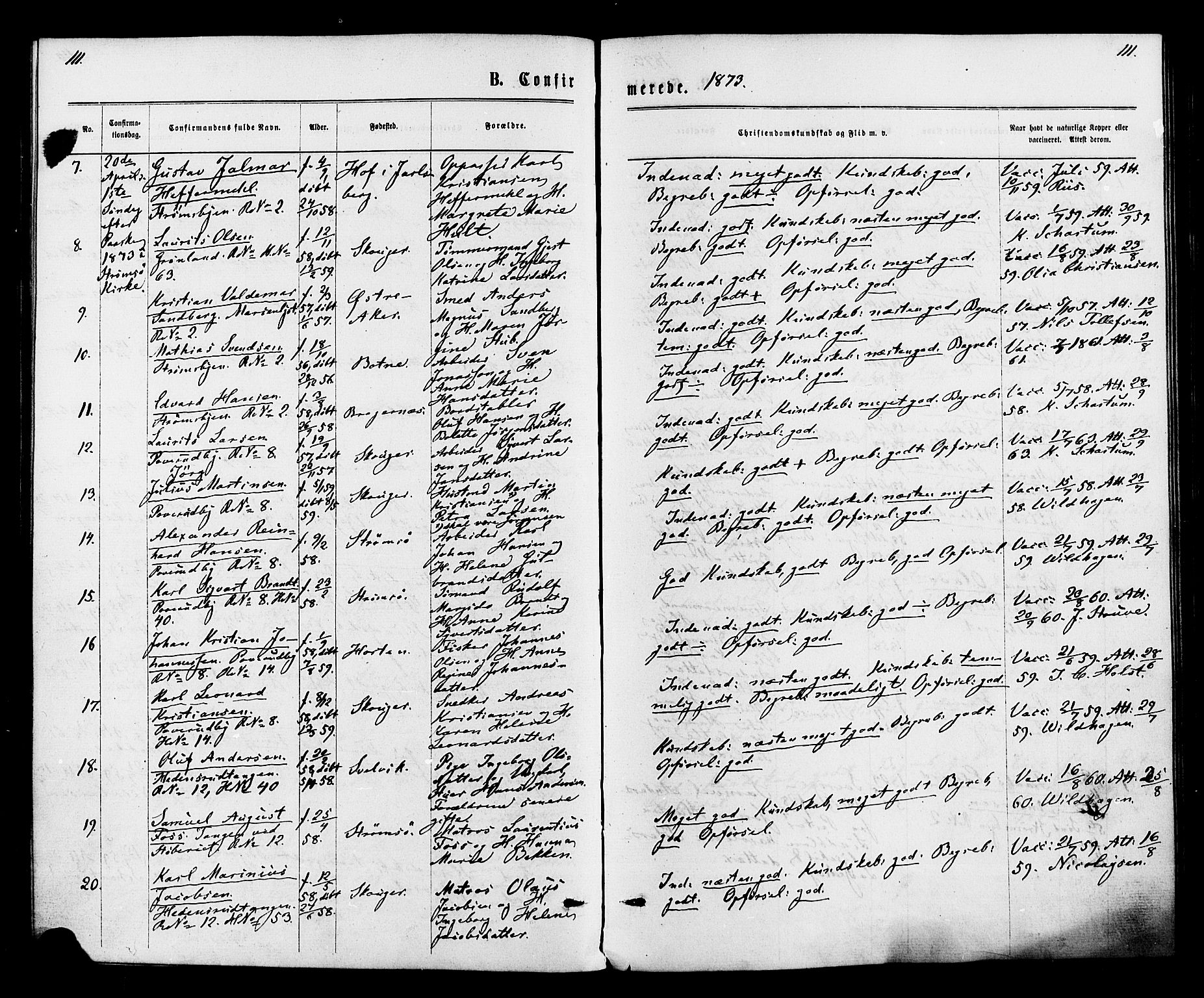 Strømsø kirkebøker, SAKO/A-246/F/Fa/L0020: Parish register (official) no. I 20, 1870-1878, p. 111