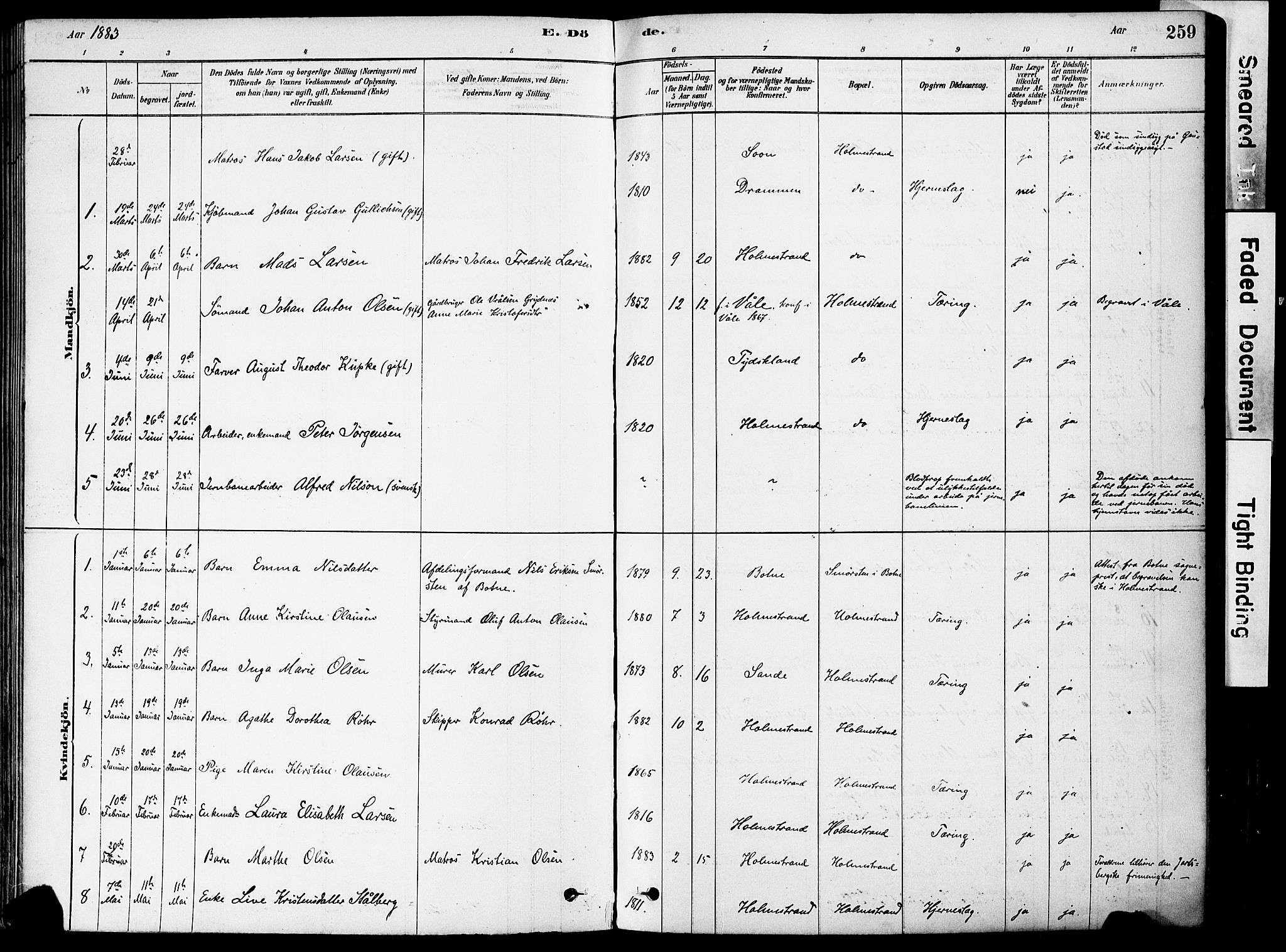 Holmestrand kirkebøker, AV/SAKO-A-346/F/Fa/L0004: Parish register (official) no. 4, 1880-1901, p. 259