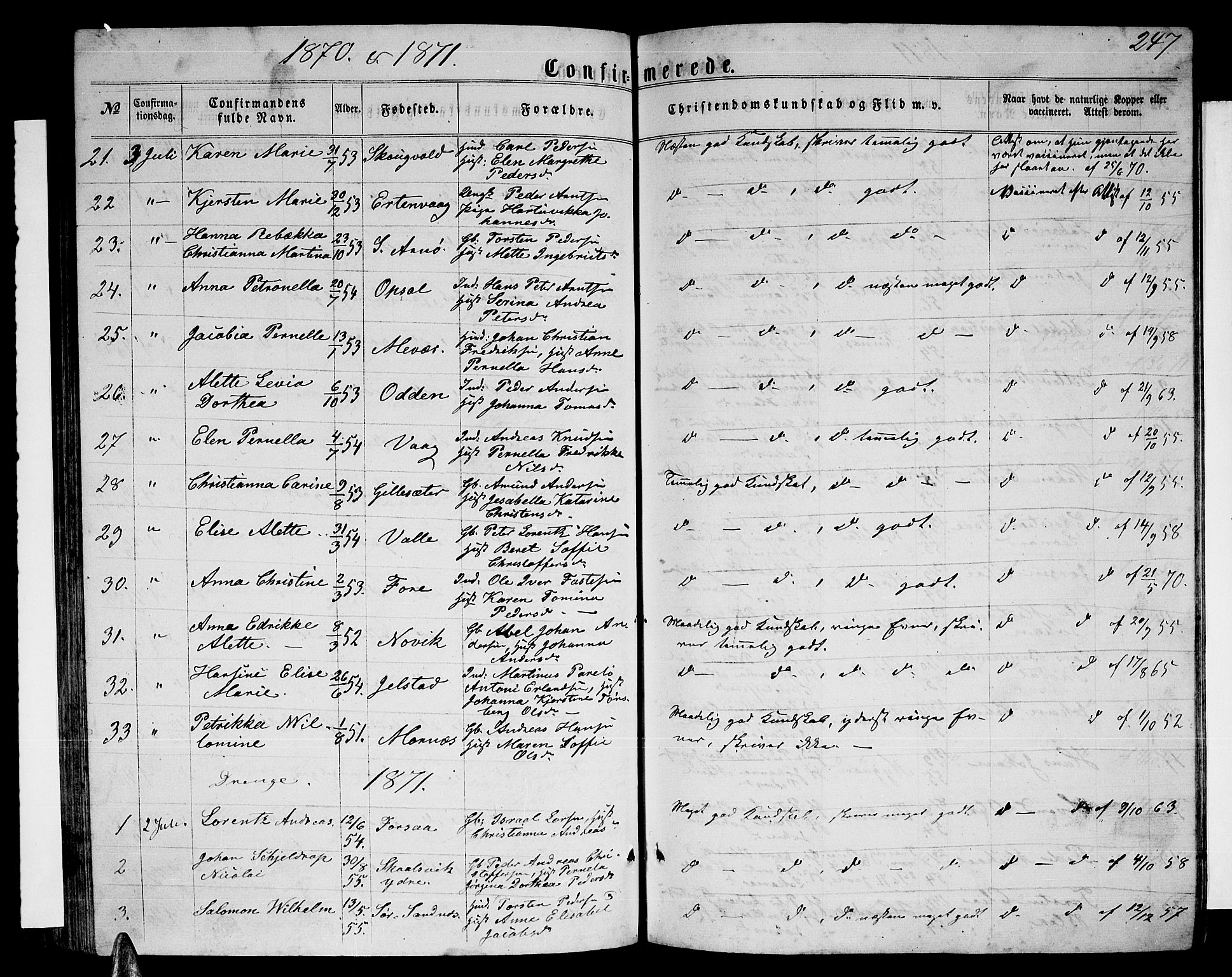 Ministerialprotokoller, klokkerbøker og fødselsregistre - Nordland, SAT/A-1459/805/L0107: Parish register (copy) no. 805C03, 1862-1885, p. 247