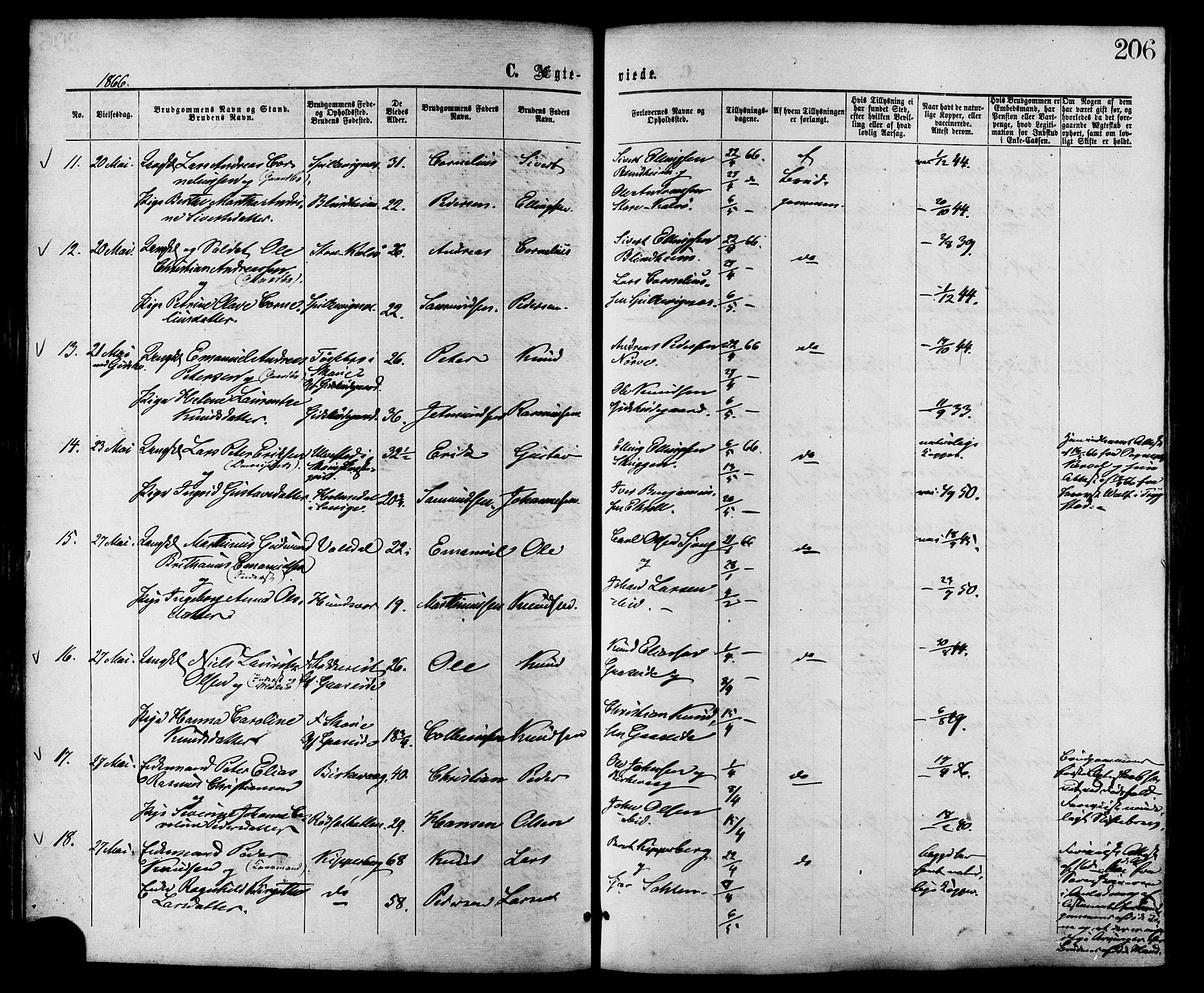 Ministerialprotokoller, klokkerbøker og fødselsregistre - Møre og Romsdal, AV/SAT-A-1454/528/L0399: Parish register (official) no. 528A10, 1864-1879, p. 206